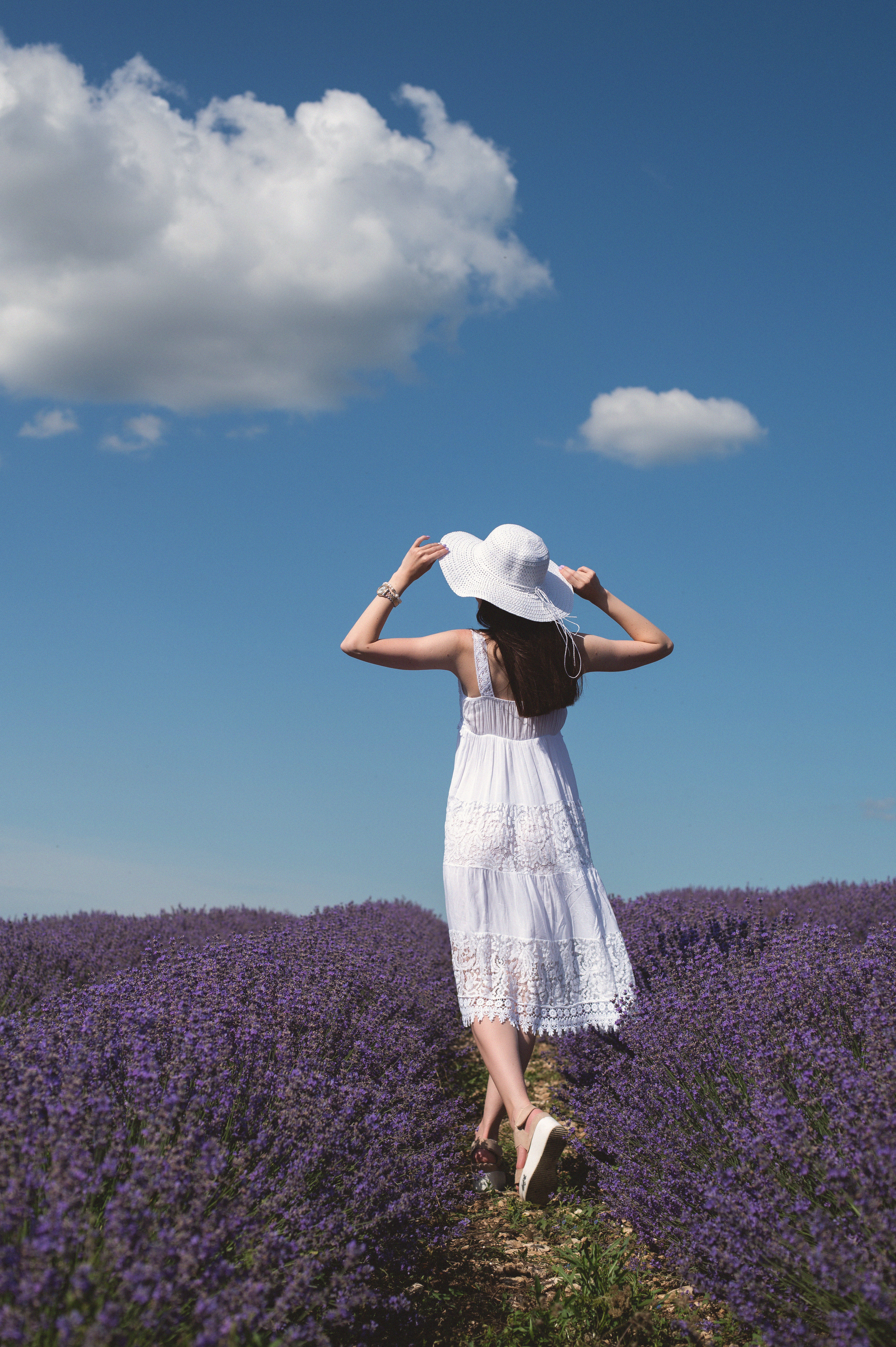фотосессия в лавандовом поле, фотосессия в лаванде