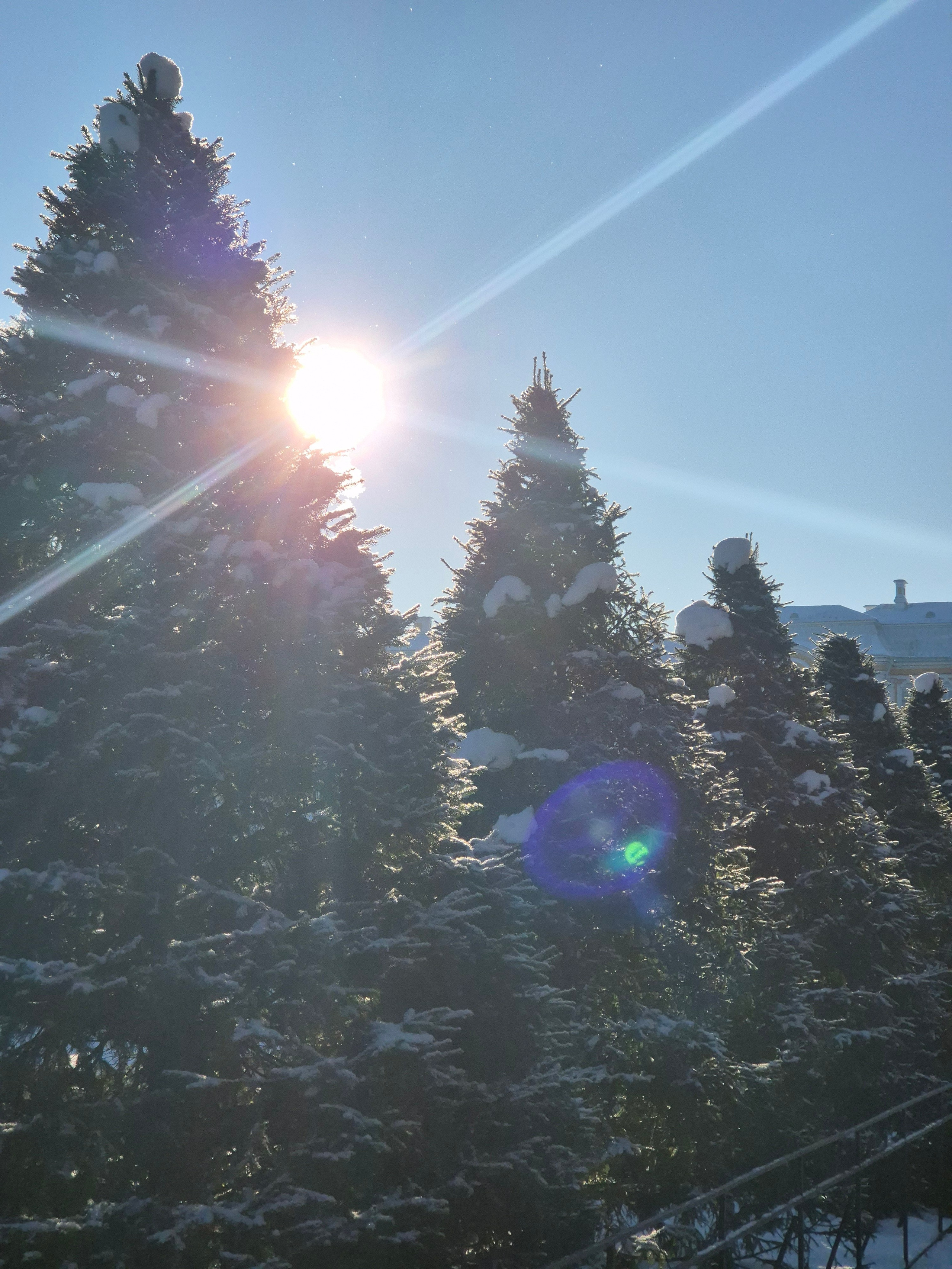 Солнечная зима, белый скрипящий под ногами снег, голубое небо, покусывающий за щеки мороз - все заряжает мощнейшим позитивом