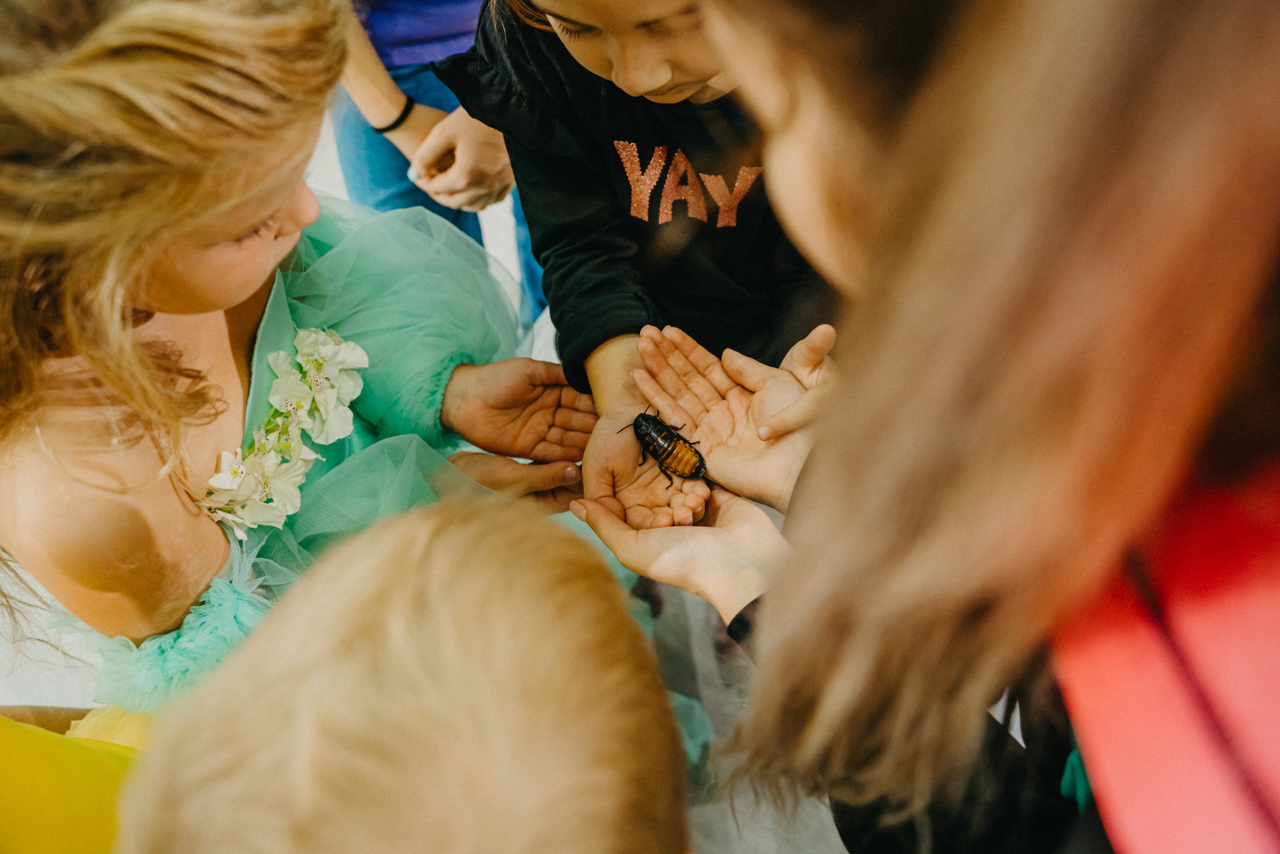 День рождении Ксюши. Выпускные альбомы для детского сада и школы в Красноярске Мария Русяев