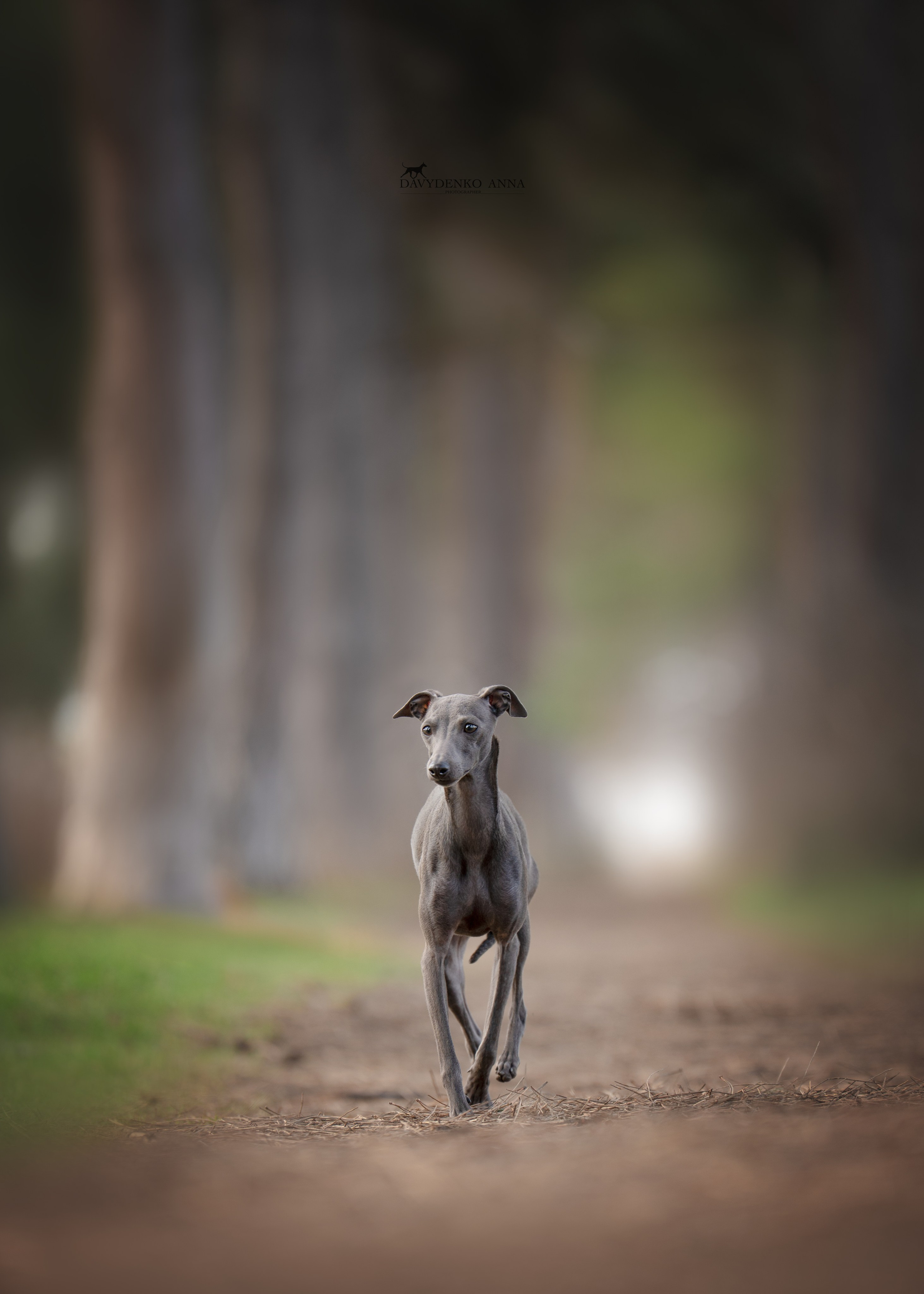 Давыденко Анна / Фотограф Краснодар/Сочи
