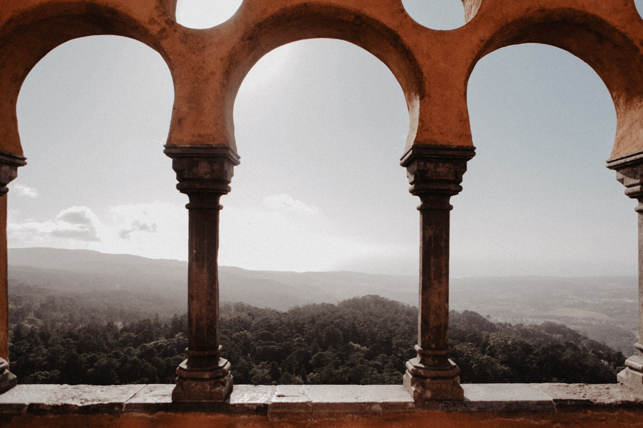 Португалия. Виолетта Скрипка