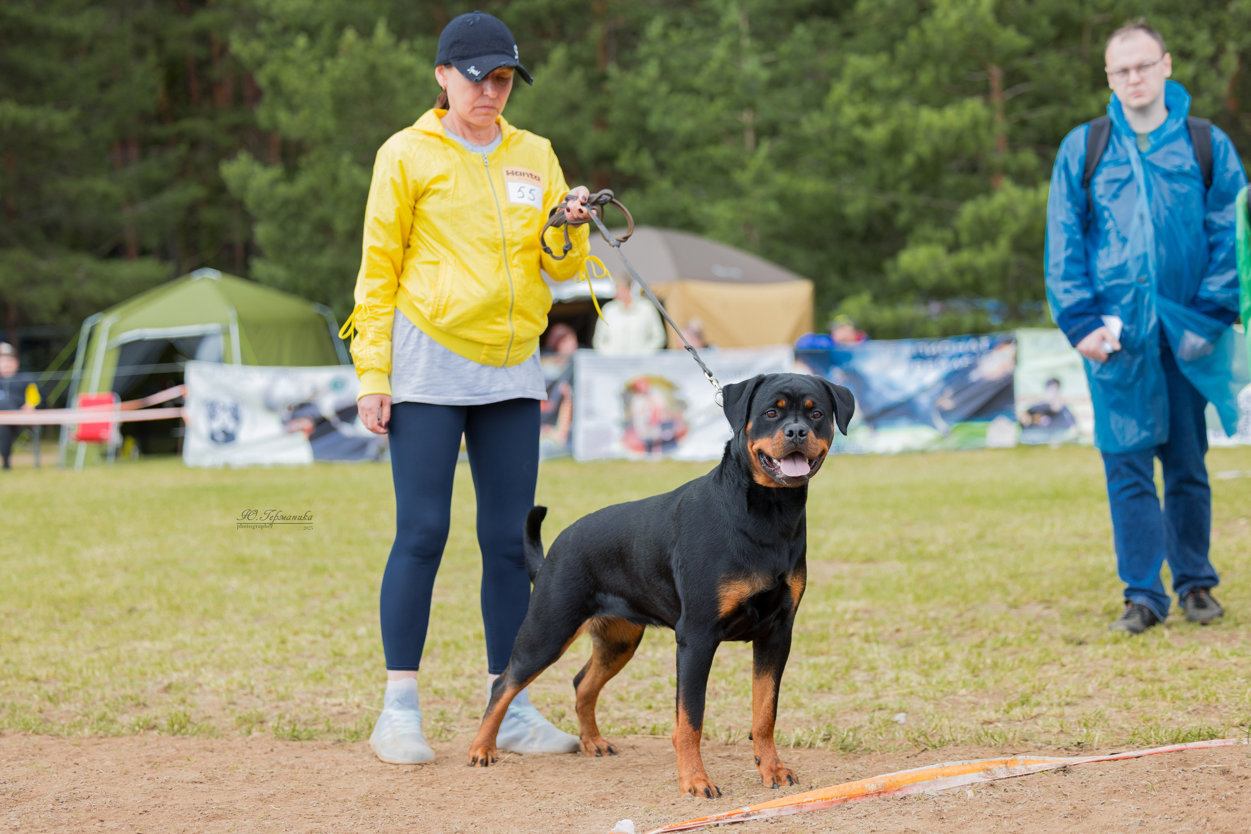 Тверь ротвейлеры 5-6.07.2025. Фотограф-анималист Юлия Германика