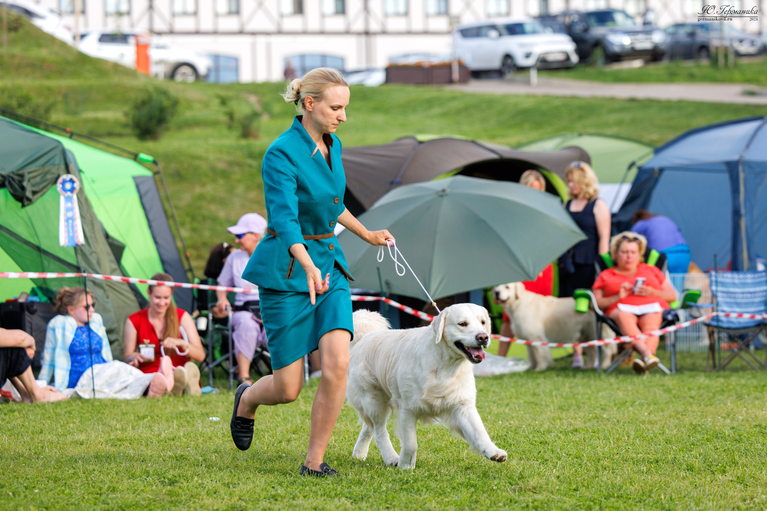 Голдены 15-16.06.2024. Фотограф-анималист Юлия Германика