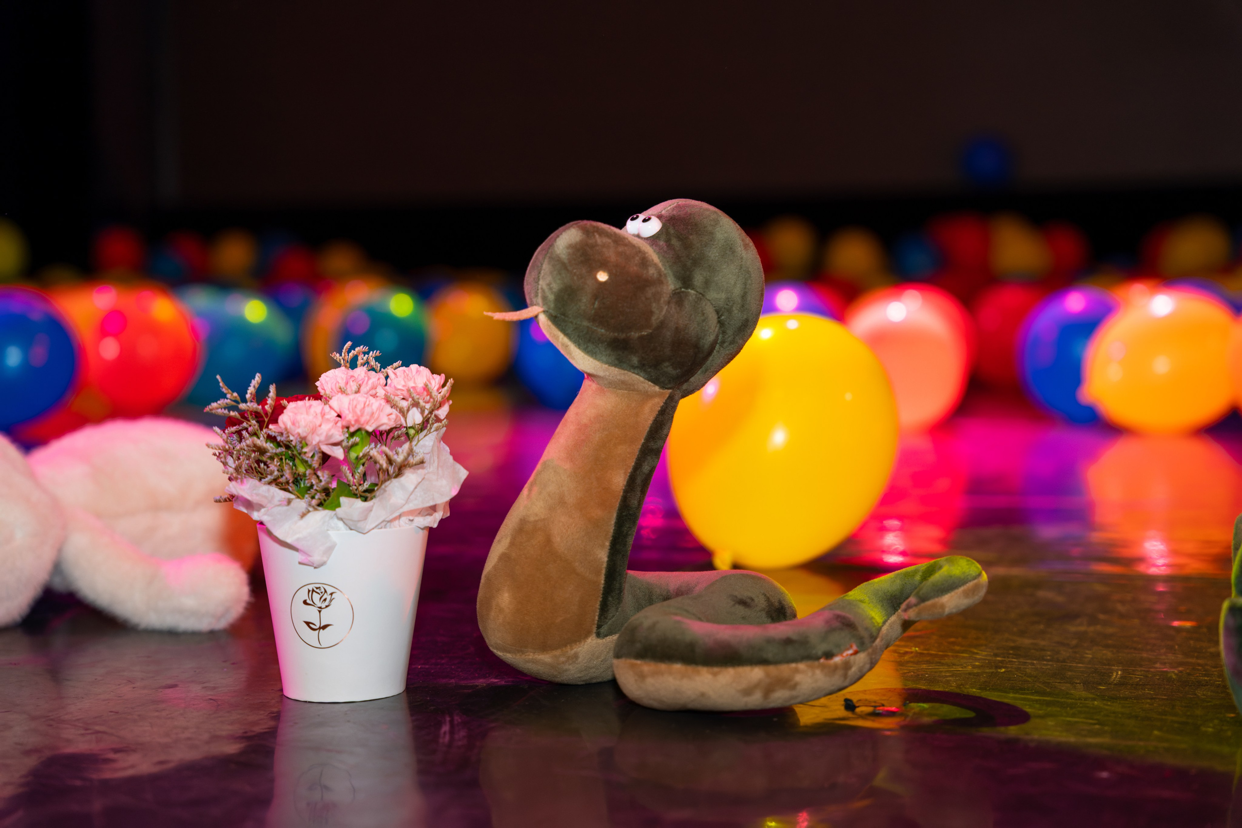 Съёмка благотворительного спектакля «Новая история деревянного мальчика». «Студия DRONAVT`s» — видеосъёмка и фотография г. Москва