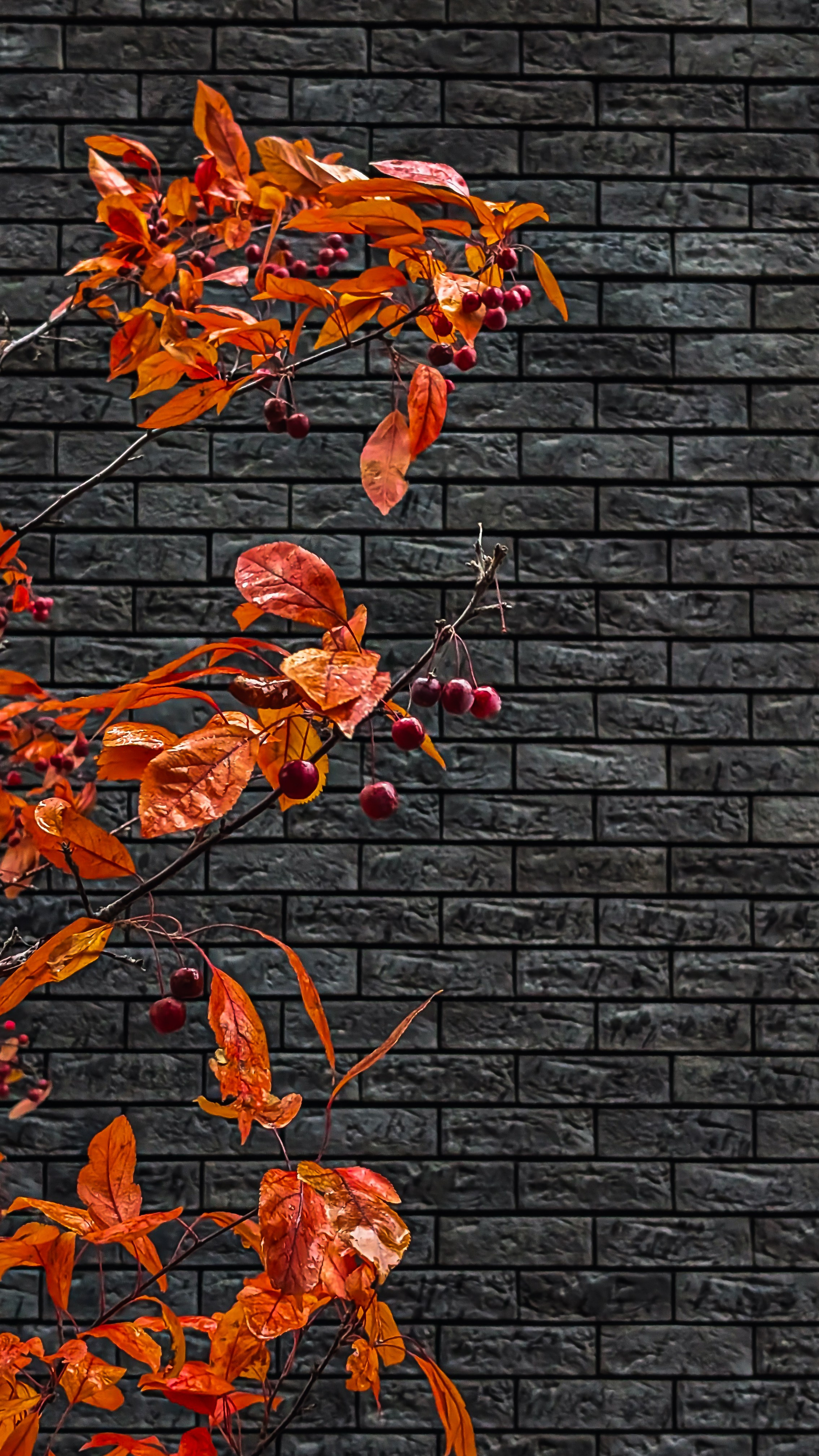 Мобильная фотография. Интерьерный и портретный фотограф в Москве Анна Моногарова