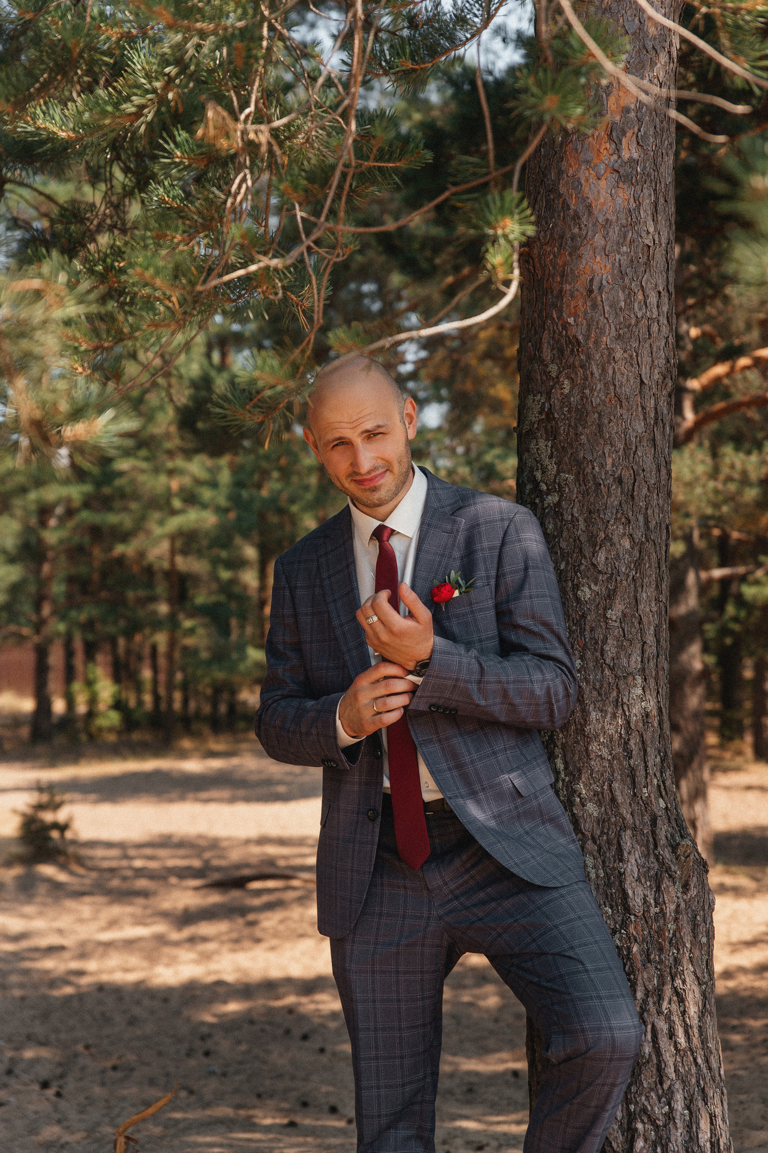 Сосновый лес. Фотограф в Кронштадте и Санкт-Петербурге Анастасия Коваленко