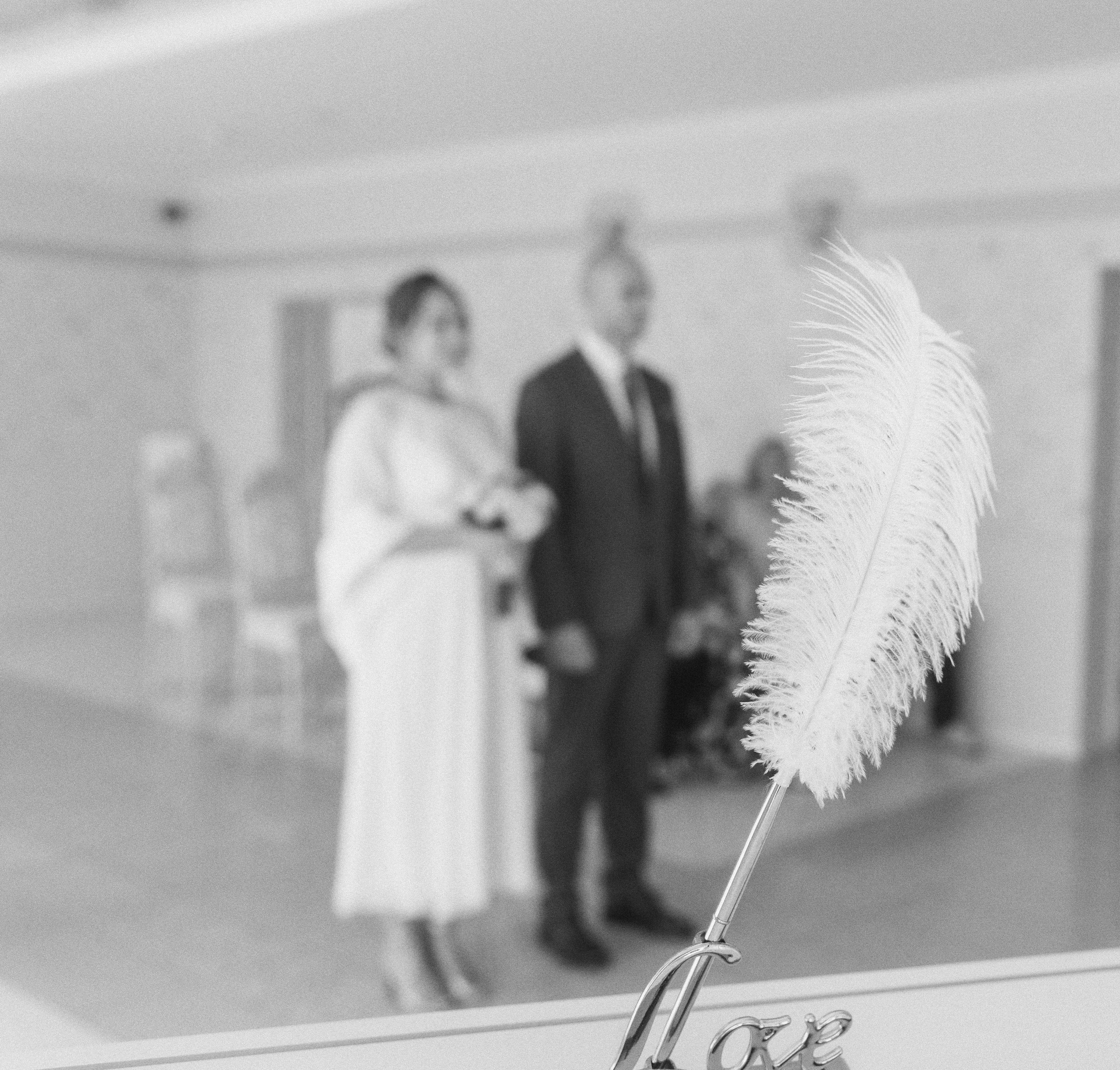 Сосновый лес. Фотограф в Кронштадте и Санкт-Петербурге Анастасия Коваленко