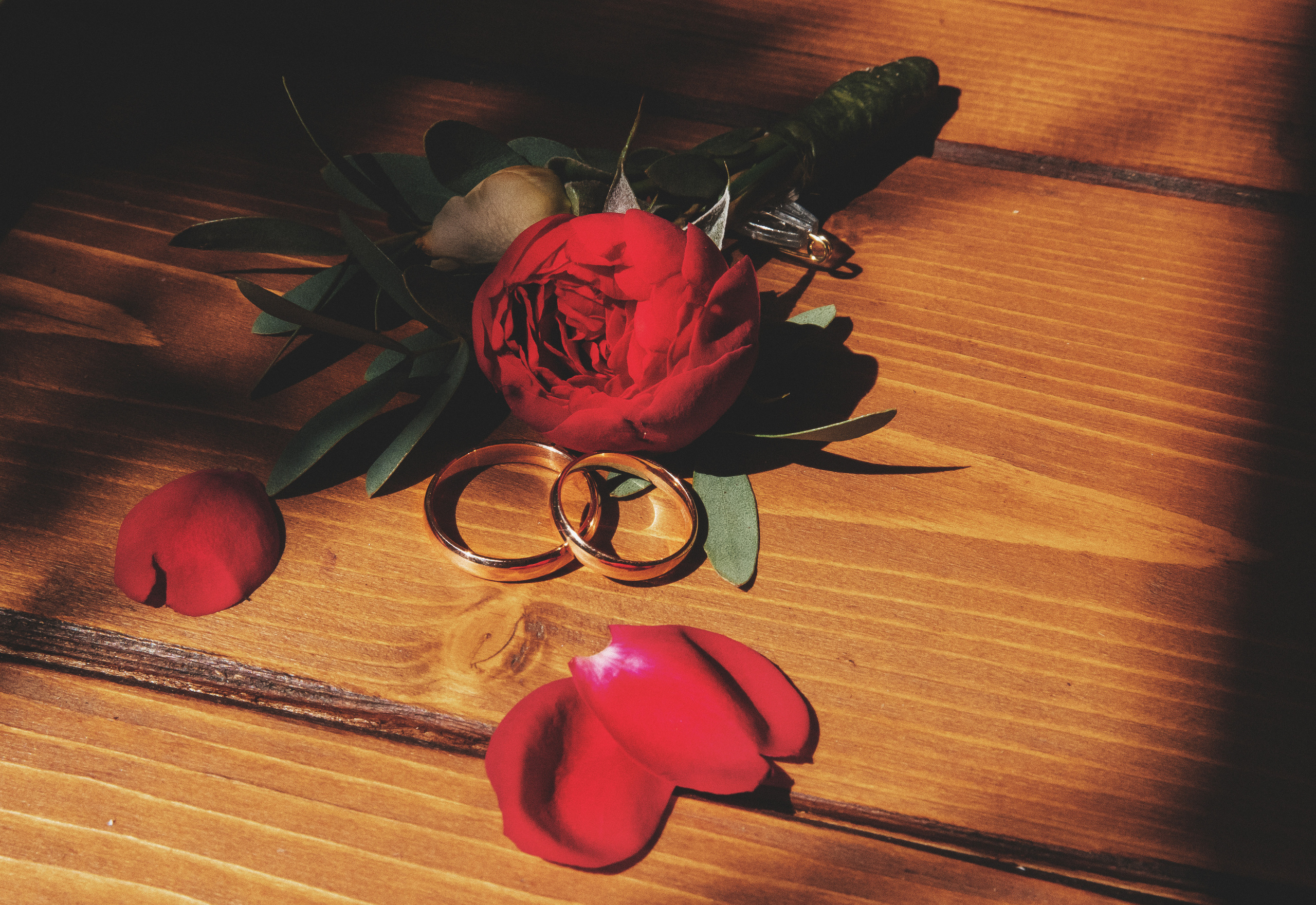 Сосновый лес. Фотограф в Кронштадте и Санкт-Петербурге Анастасия Коваленко