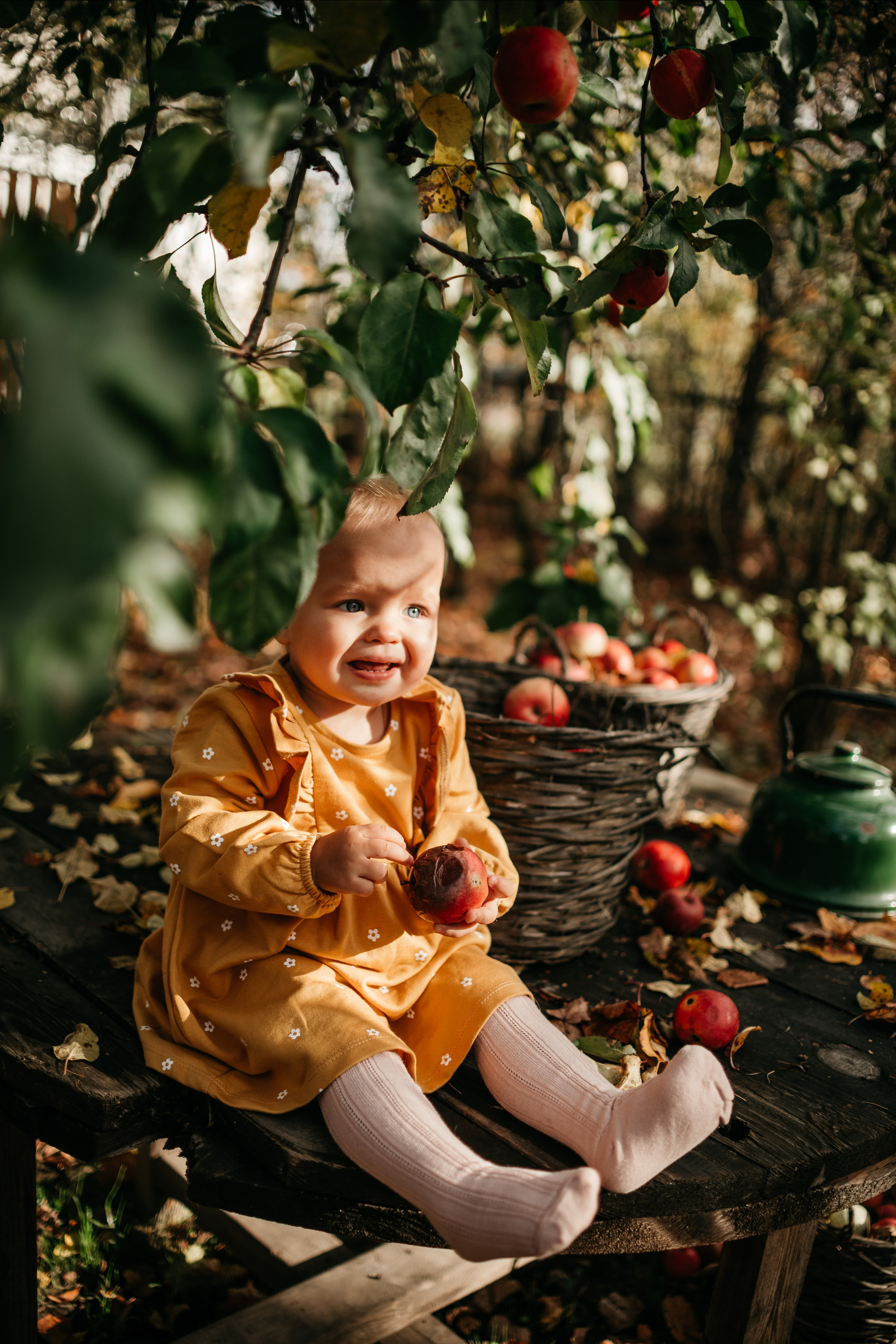 Осенние зарисовки. Lifestyle Фотограф Анастасия Донюшкина