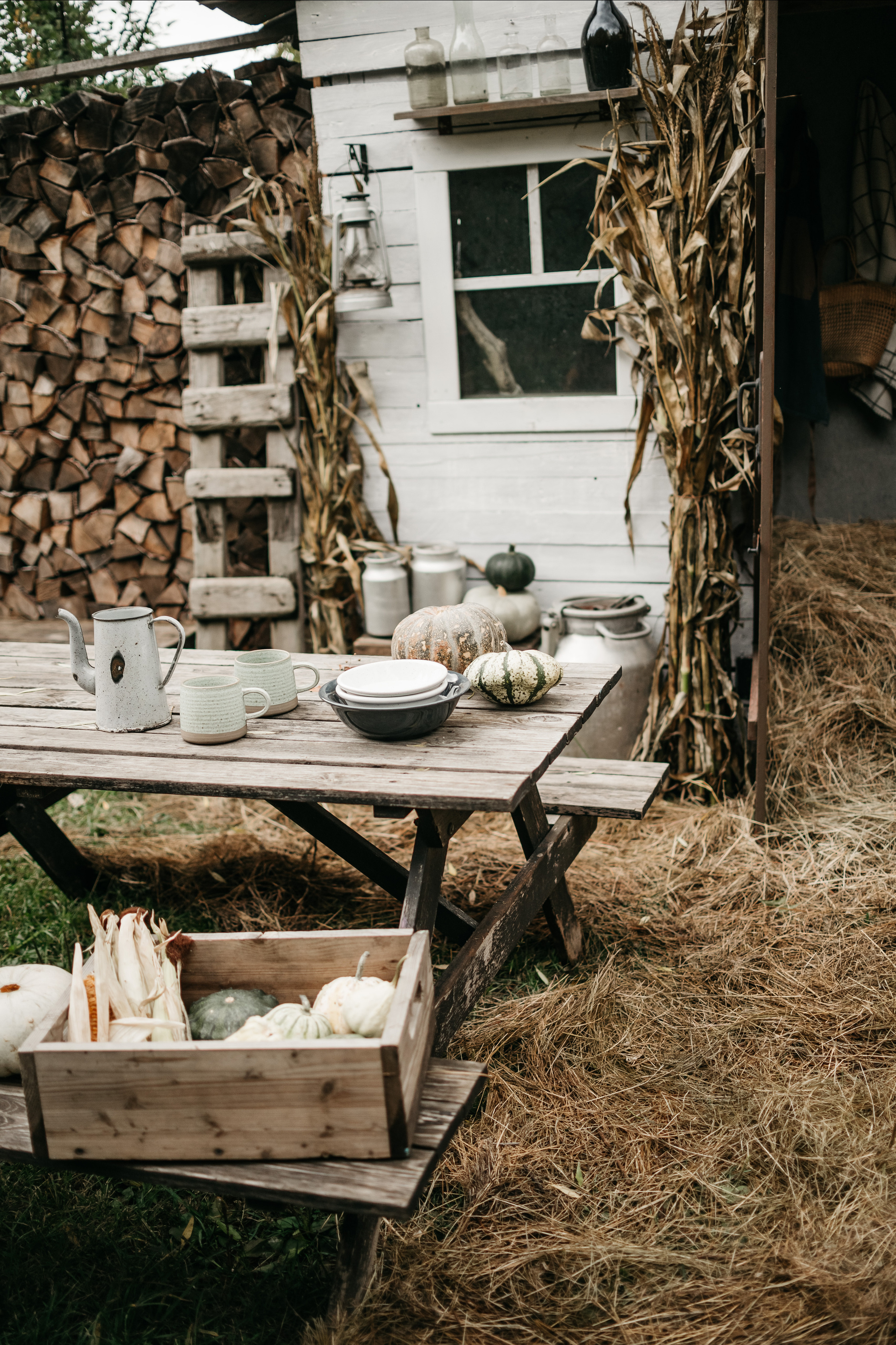 Лена. Lifestyle Фотограф Анастасия Донюшкина
