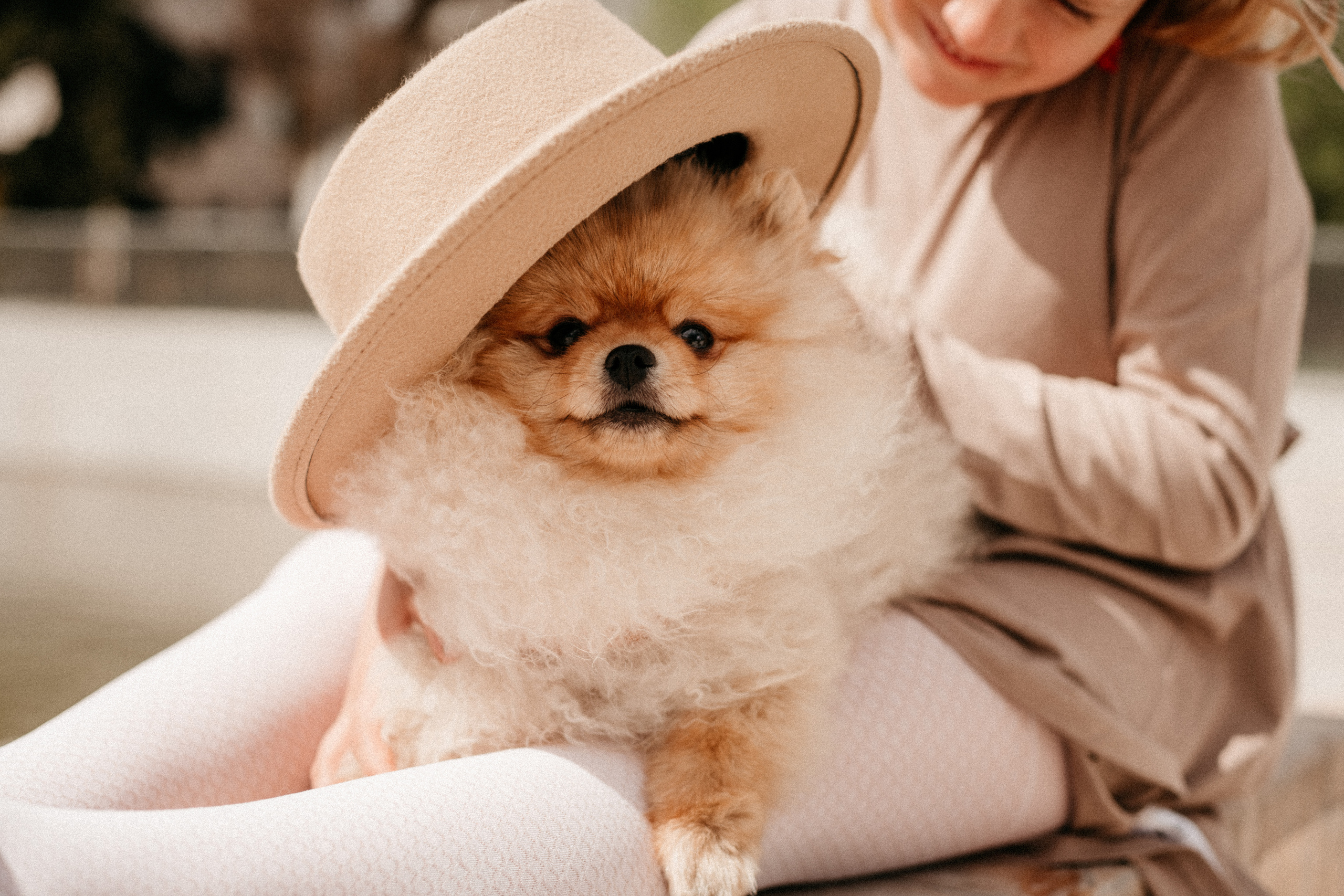 Тася и Варя. Lifestyle Фотограф Анастасия Донюшкина