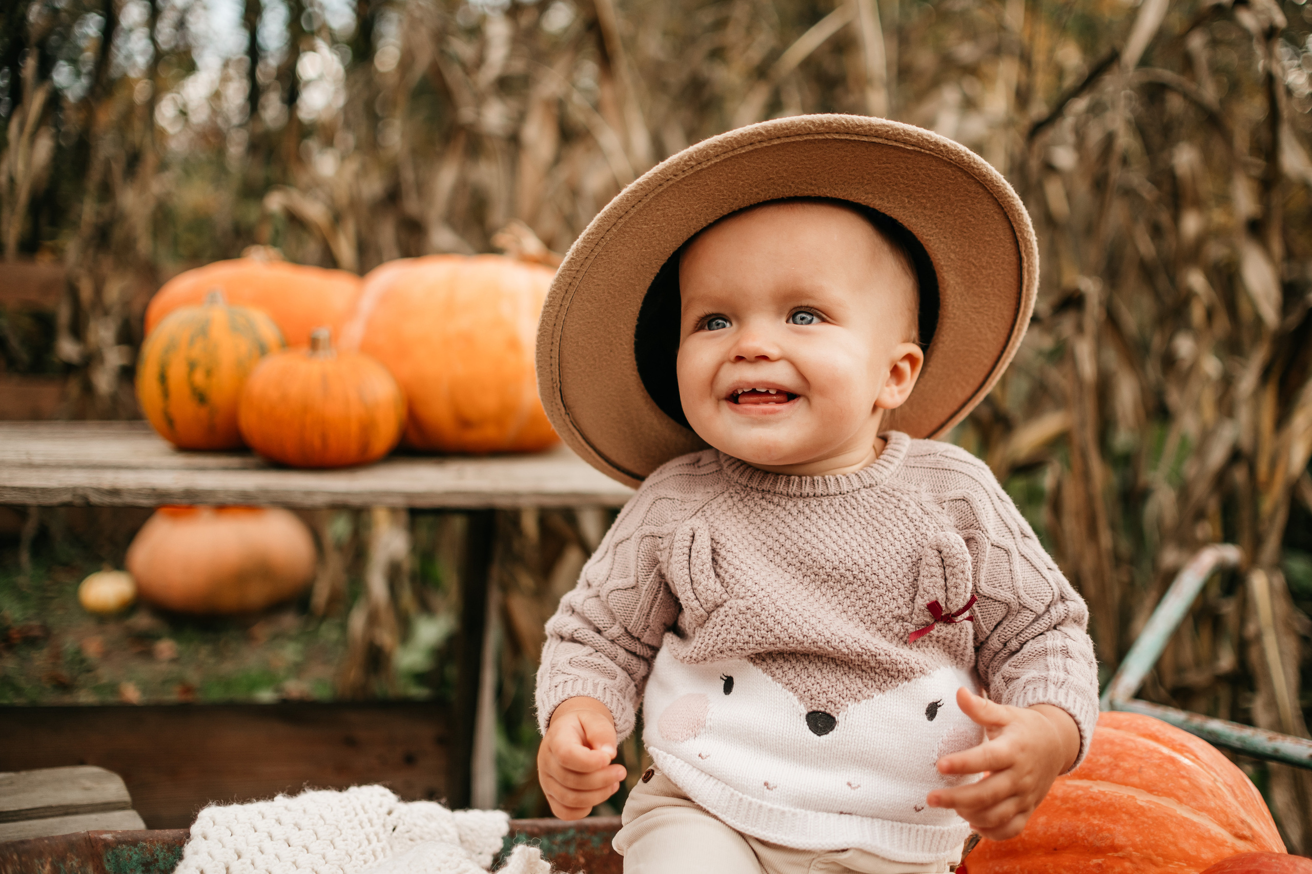 Осенние зарисовки. Lifestyle Фотограф Анастасия Донюшкина