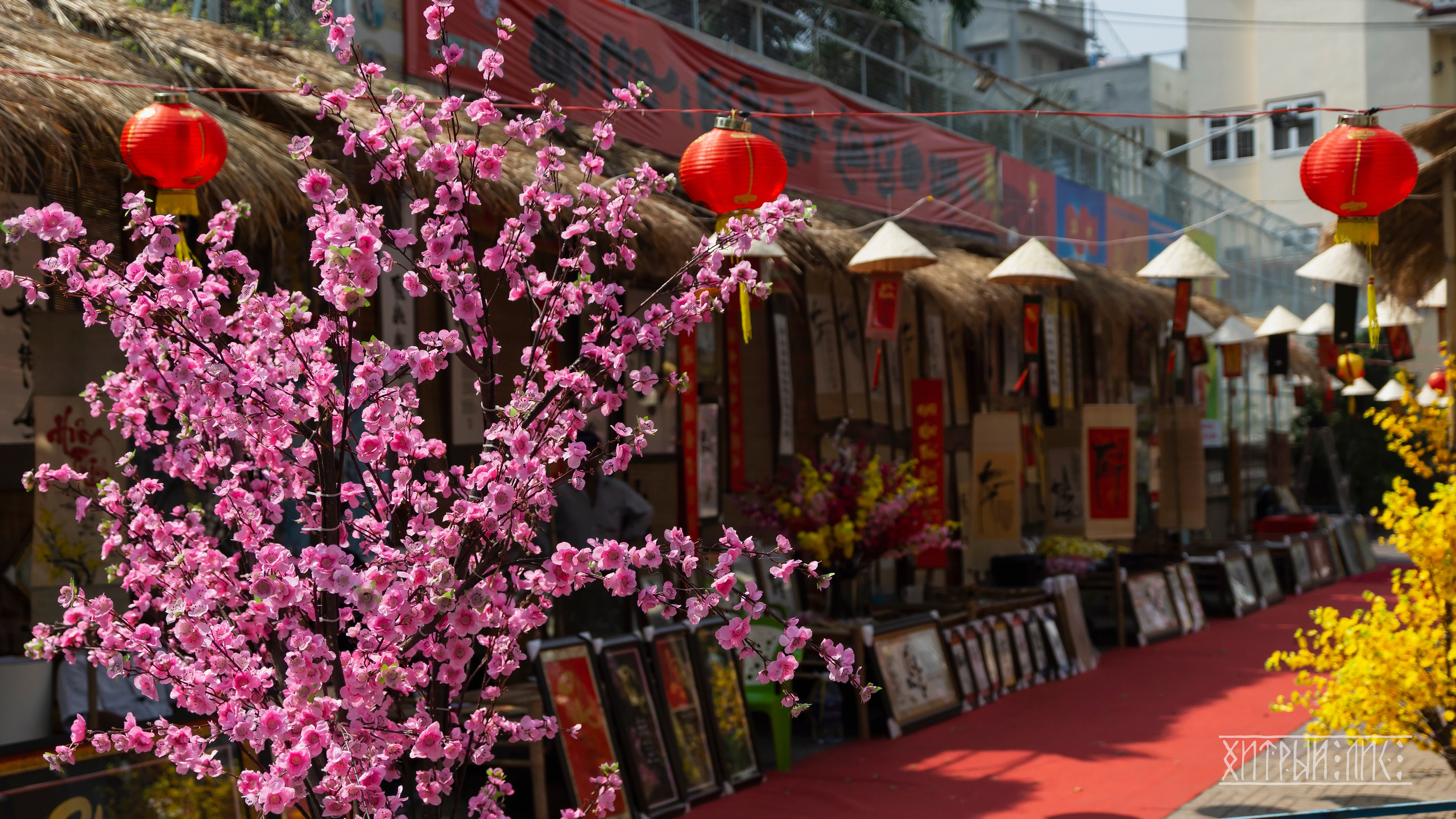 Вьетнам. Фотограф-путешественник Самойлов Максим «Sly Fox»