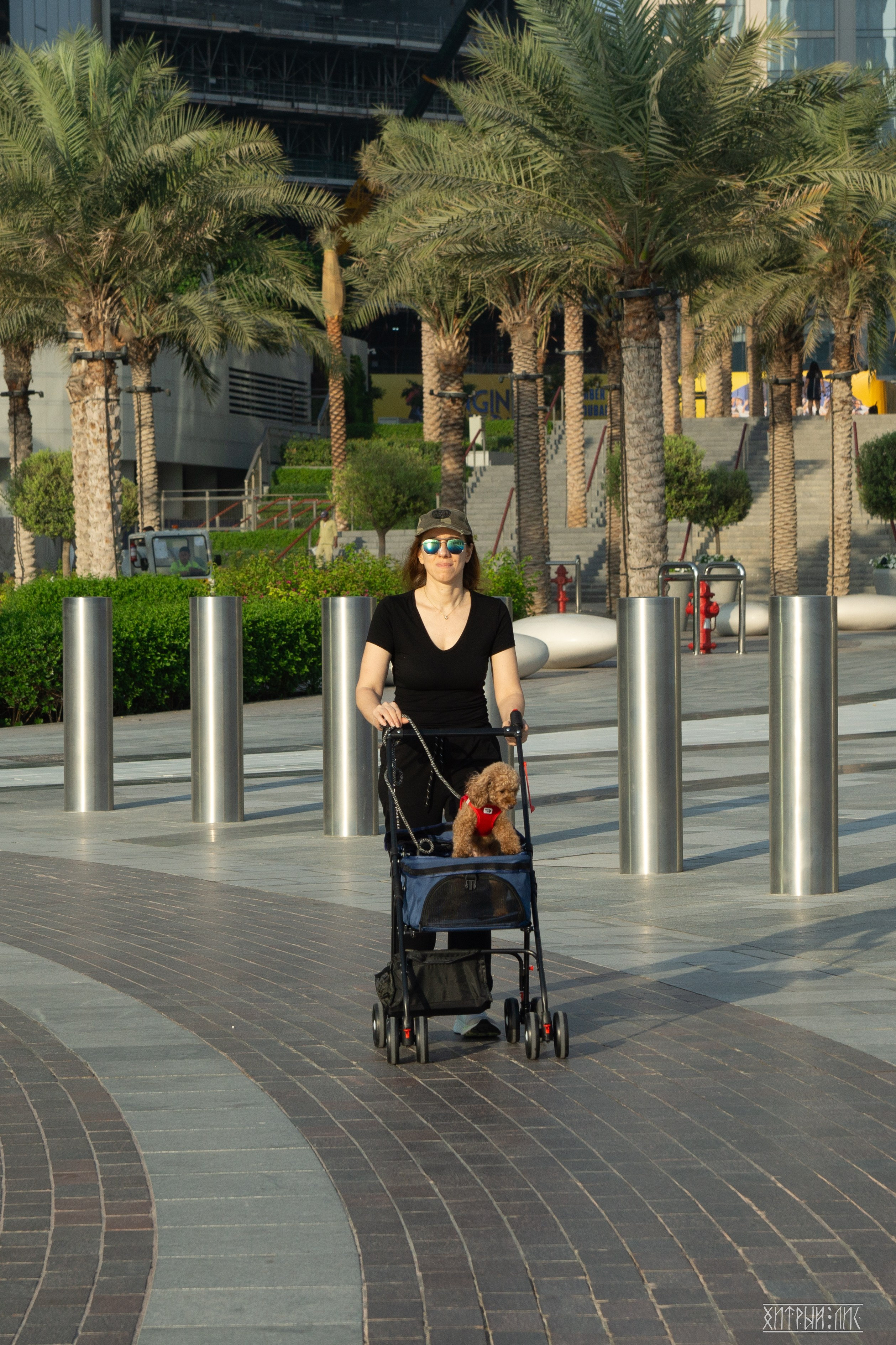 ОАЭ. Фотограф-путешественник Самойлов Максим «Sly Fox»