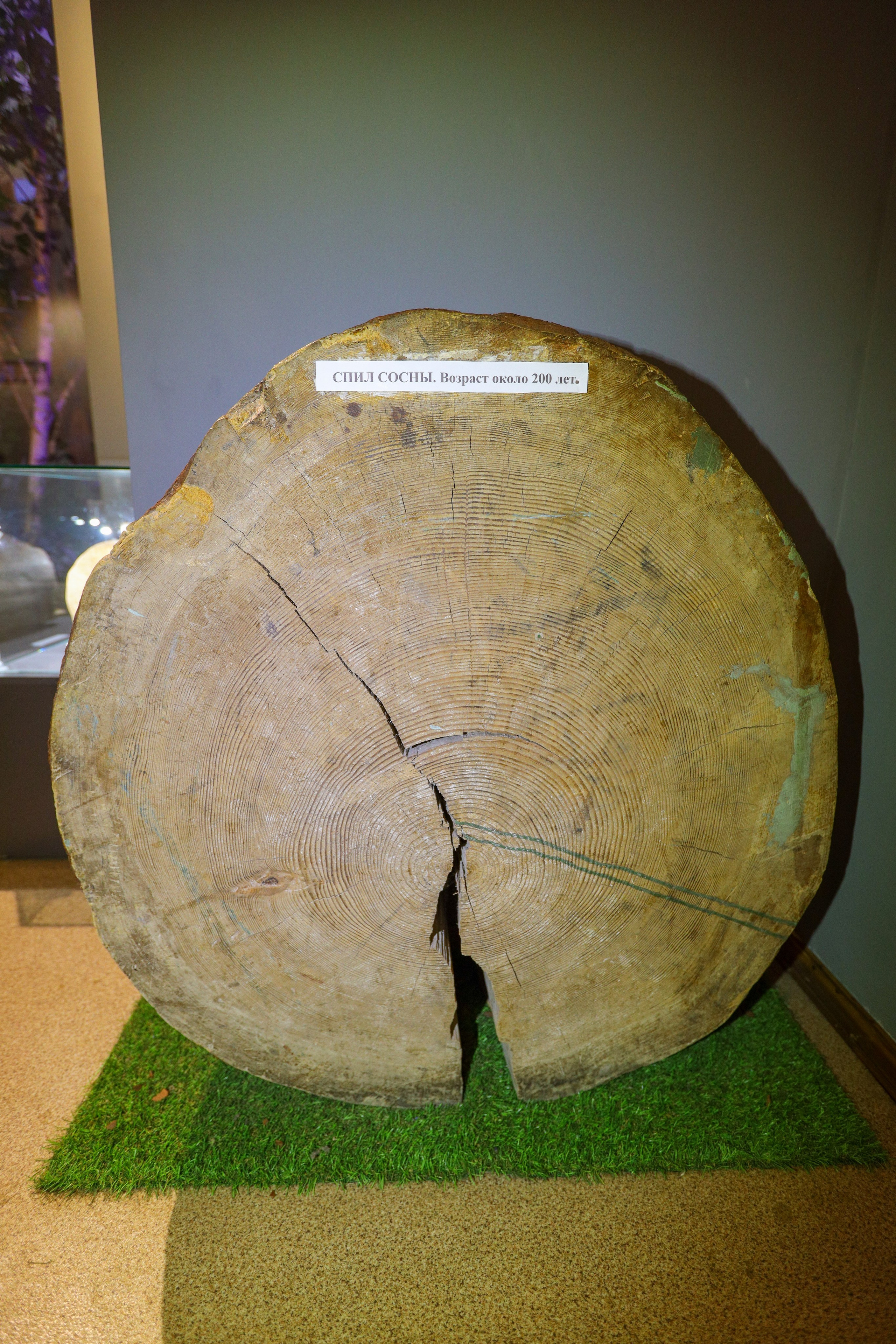 Поездка в Белев и на производство пастилы. Фотограф в Туле Крупский АнДРей. Фотостудия «КАДР71» в Туле