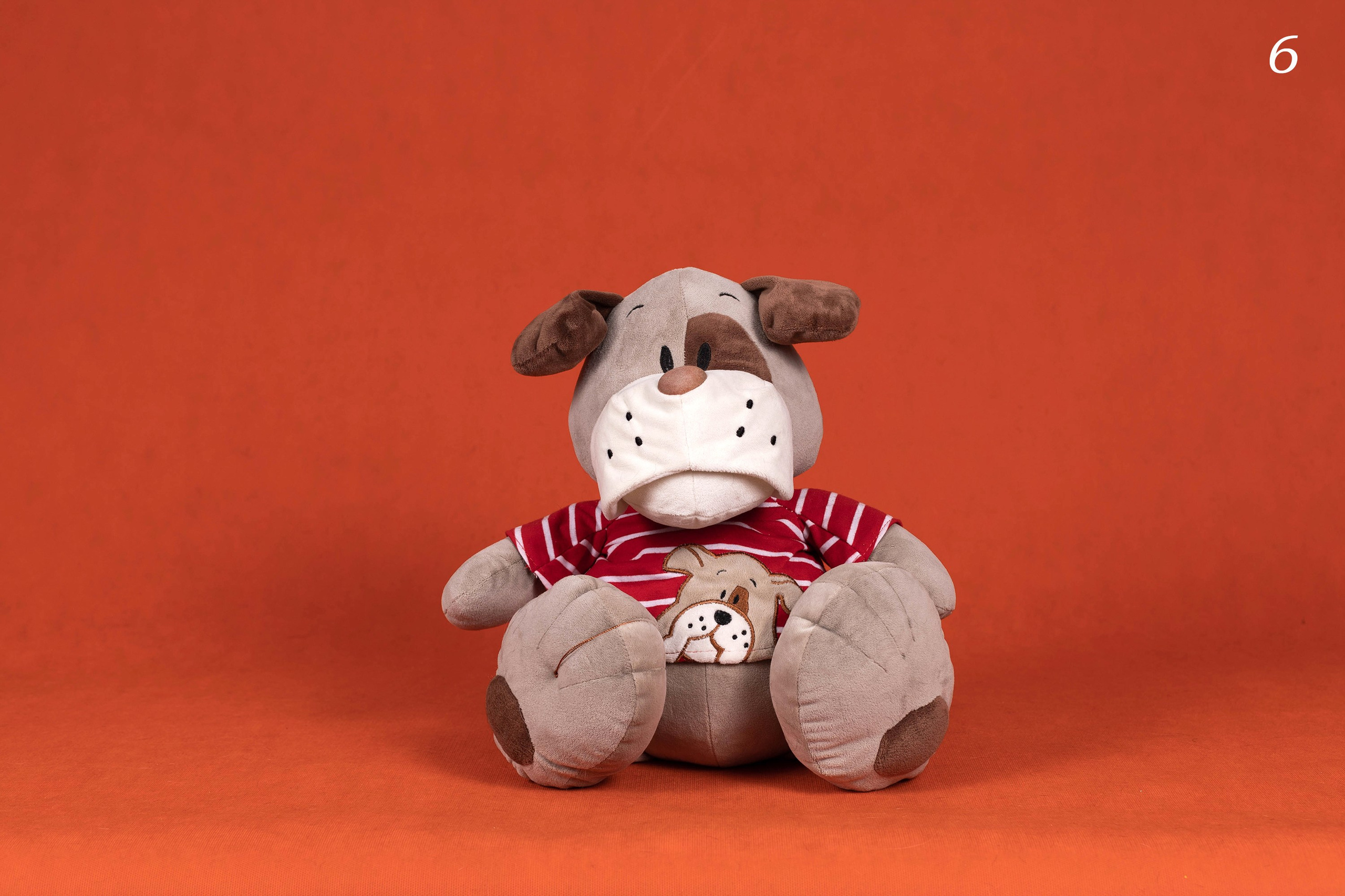 Фоны спектра радуги. Фотограф-анималист в Омске Екатерина Маричева