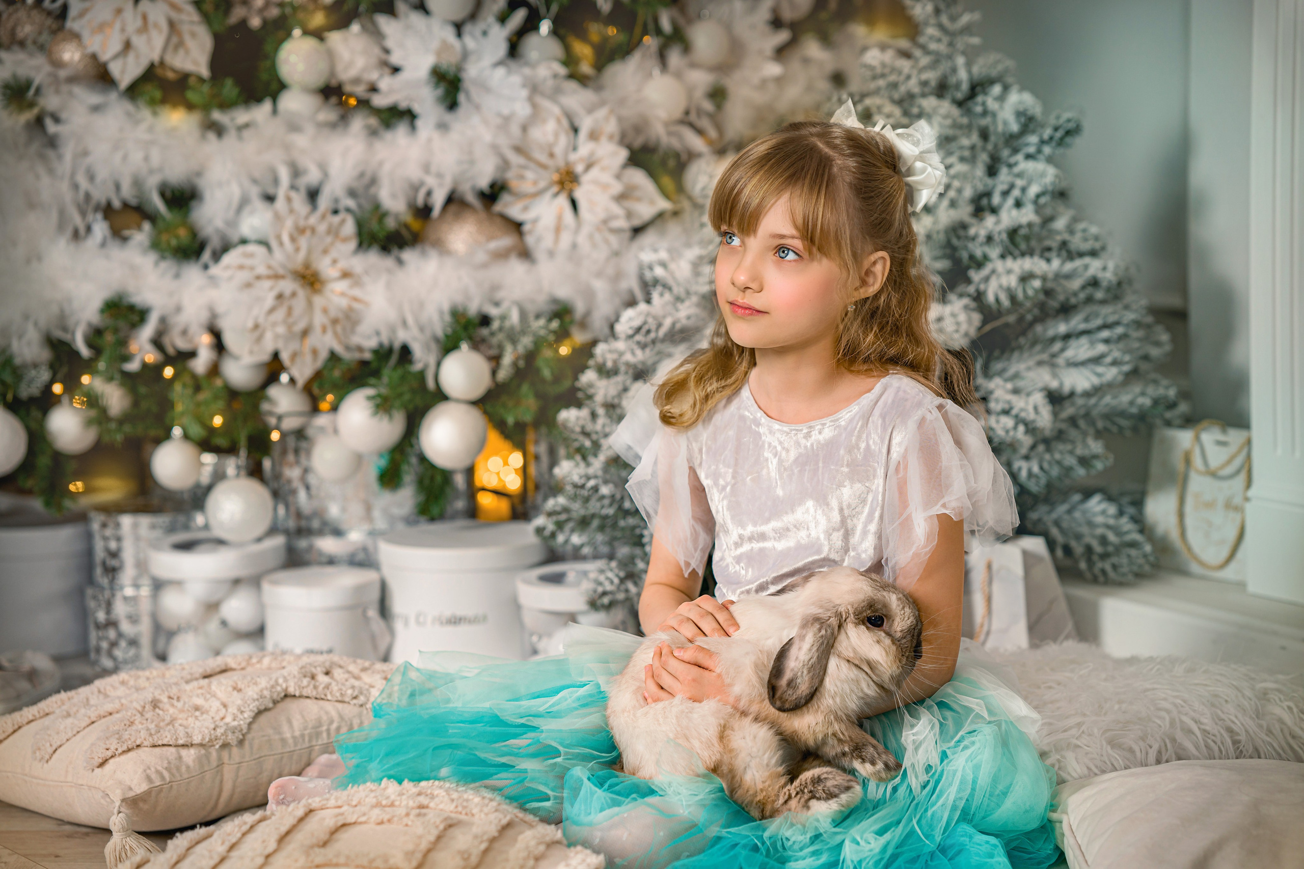 Интерьерные. Фотограф Валентина Полунина