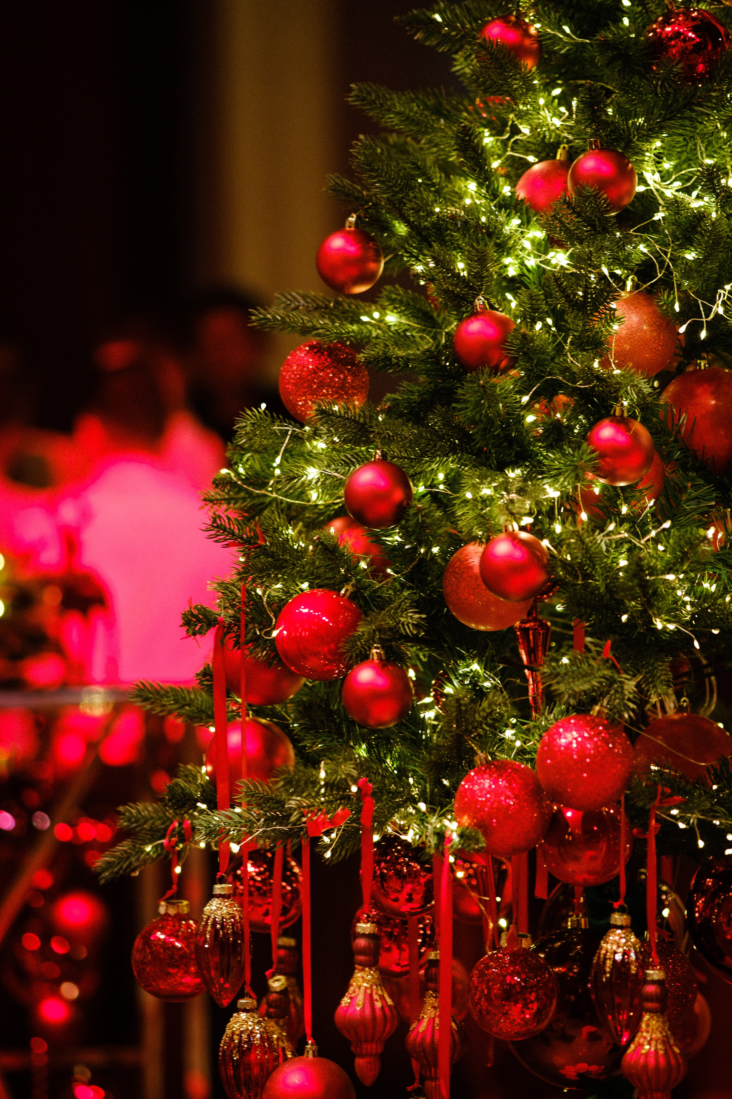 Lapino Hall. Свадебный фотограф