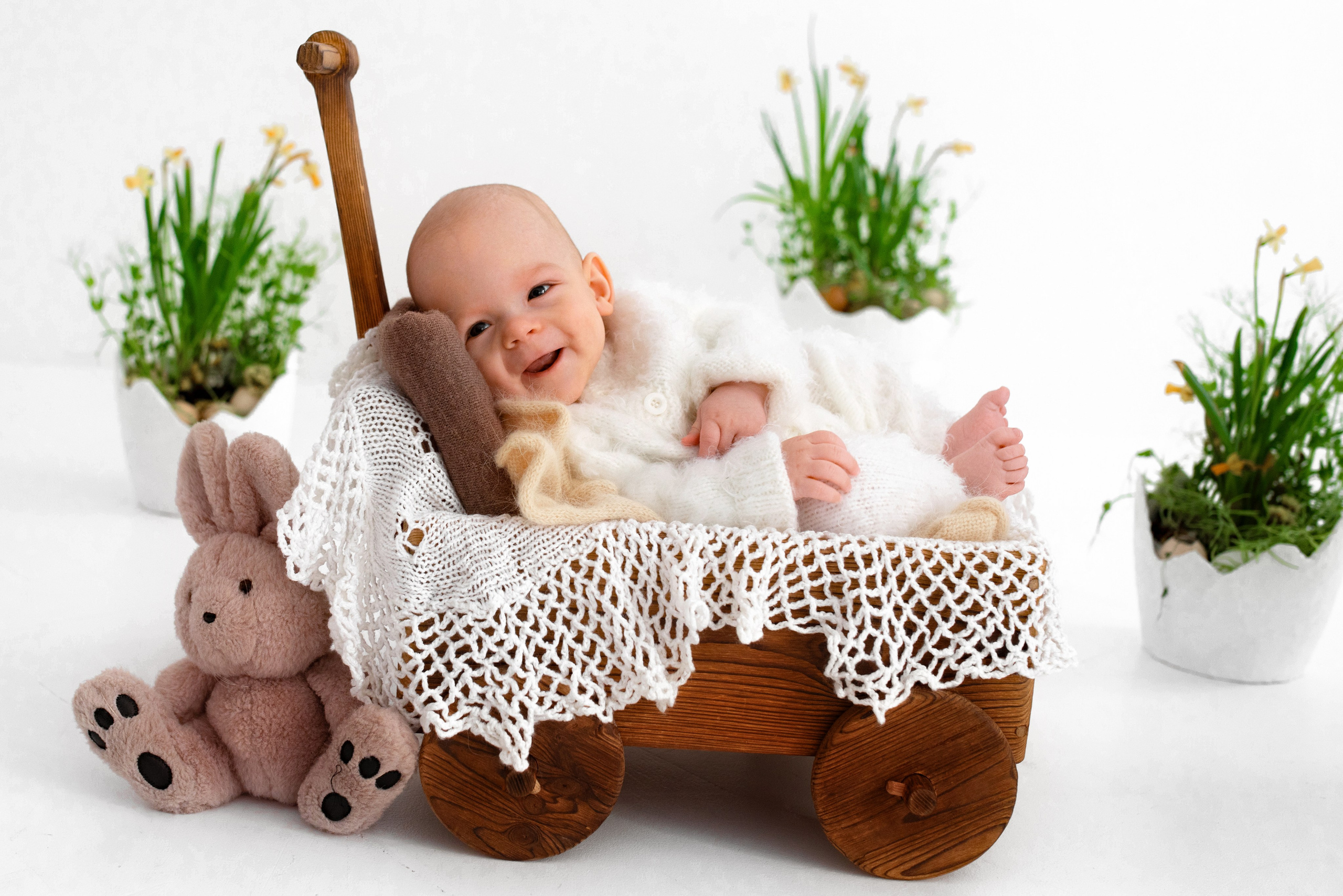 Лев (3 месяца)