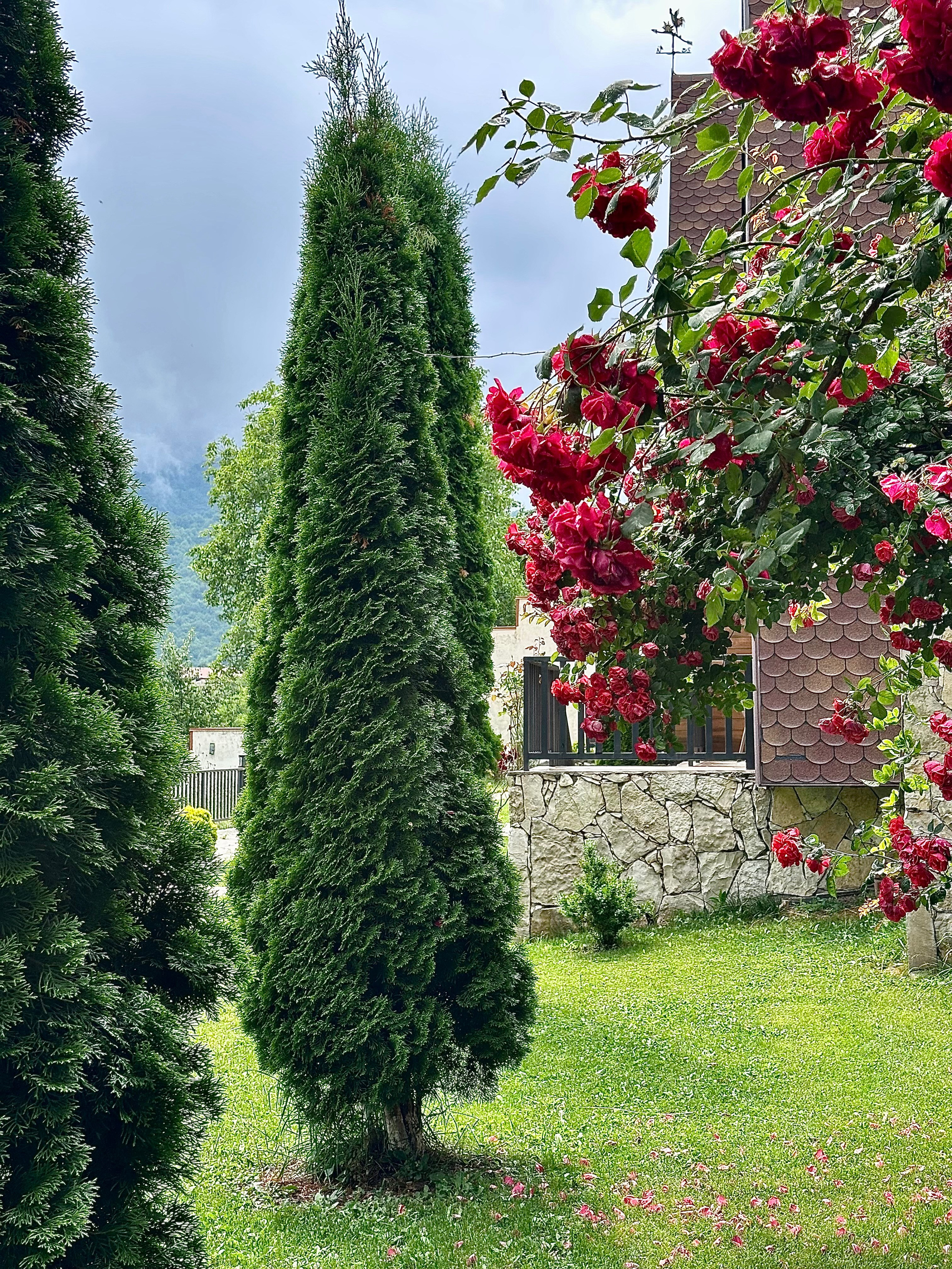 НЕДВИЖИМОСТЬ / ИНТЕРЬЕРЫ/ ОТЕЛИ. Портретный, свадебный, репортажный фотограф во Владивостоке Юлиана Джули Фокс