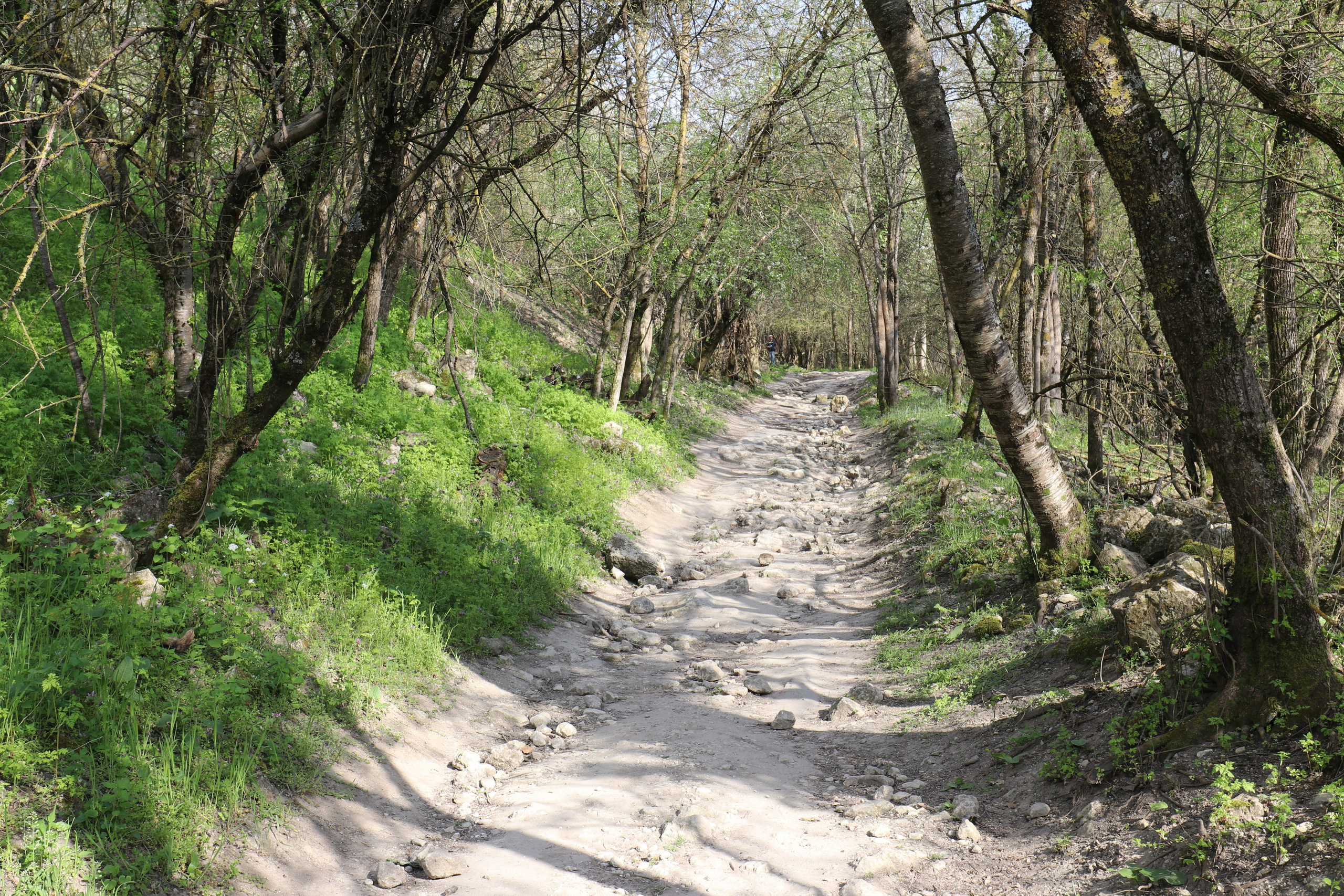 Крым. ЮБК (Бахчисарай, Кастрополь, Таракташская тропа). Май 2021. Путешественник-фотограф из Санкт-Петербурга Татьяна Свистулина