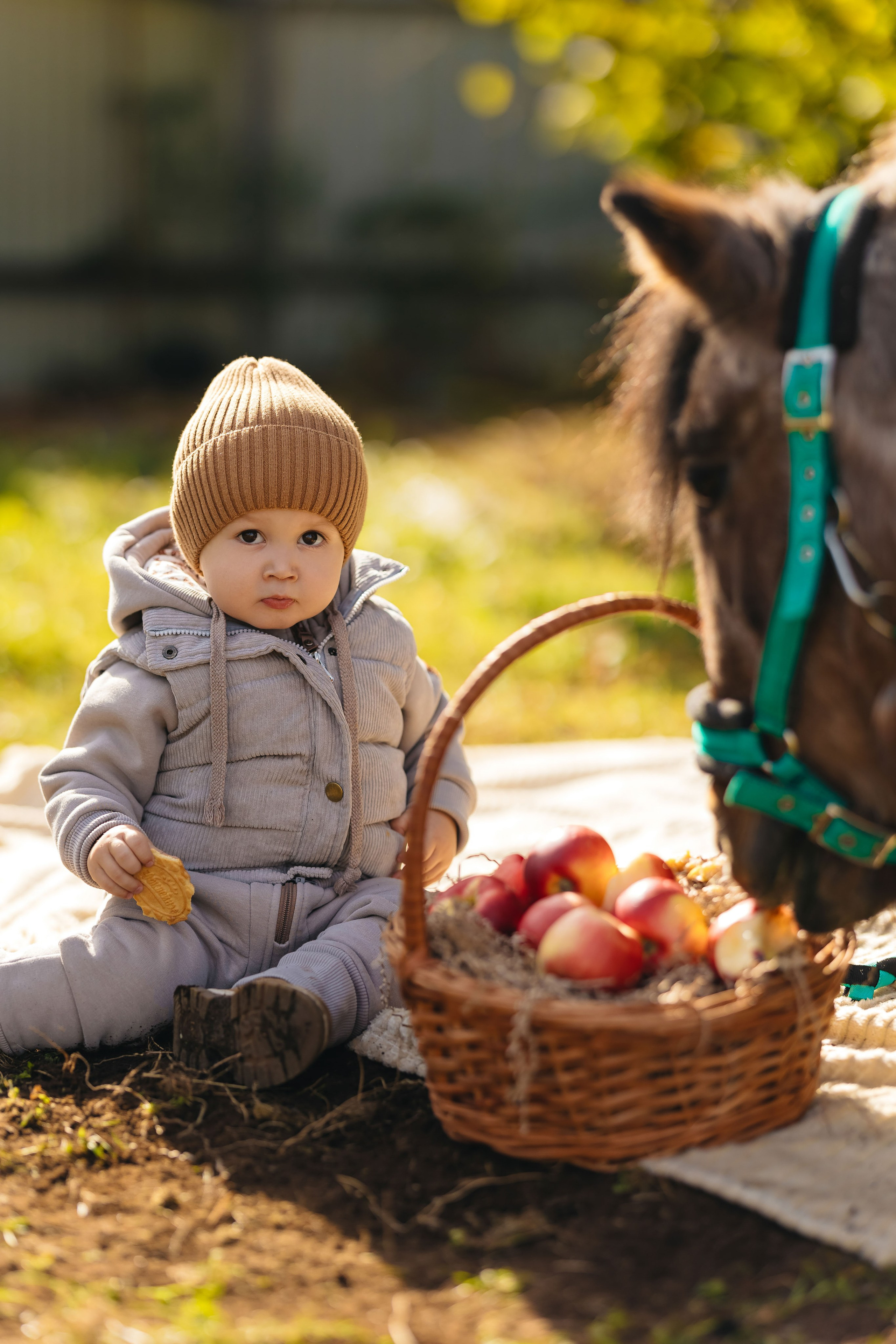 2024.10.02 Илья и лошадка. Ирина Бешляга. Фотограф в Москве и по всей России