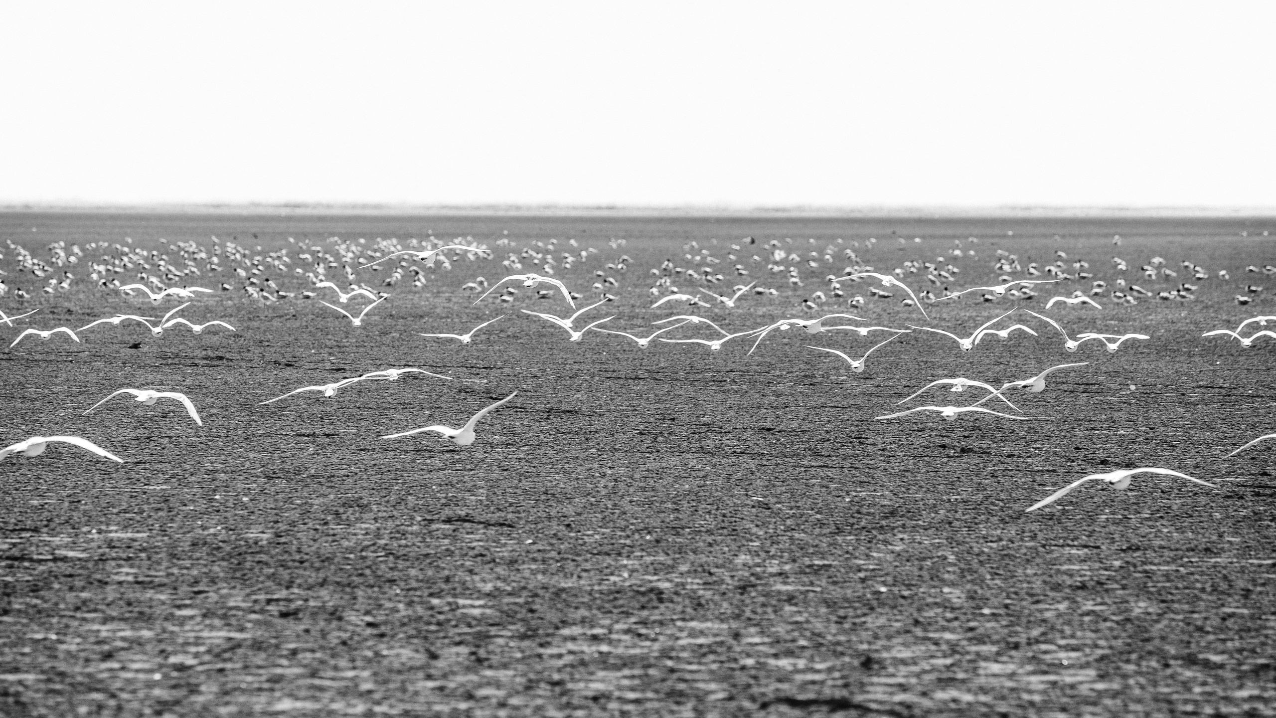 Nature. Артем Корнев Фотограф