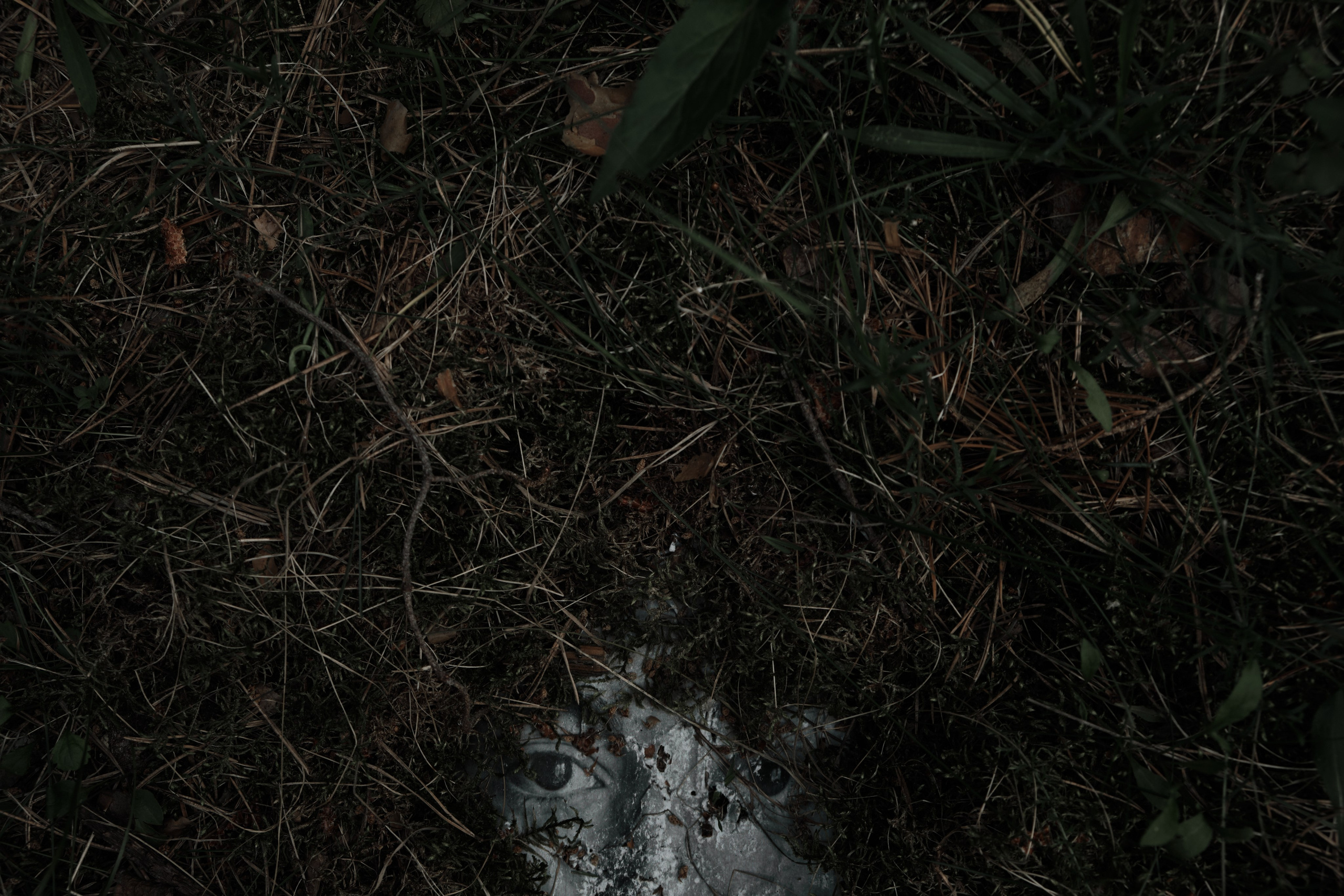 Я приношу к себе лес я себя приношу в лес. Алиса Косарева