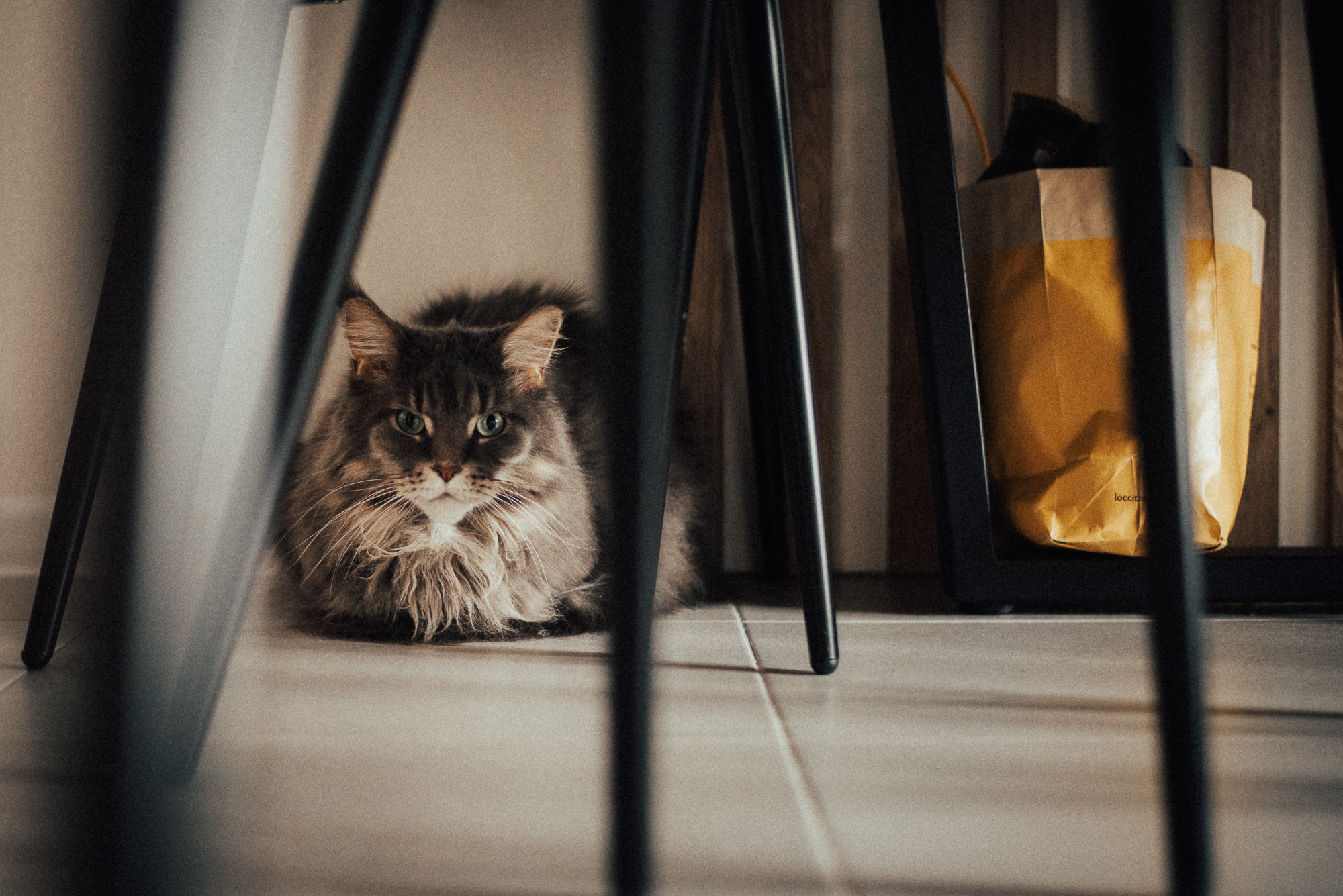 Артём, Настя, Даня | дома