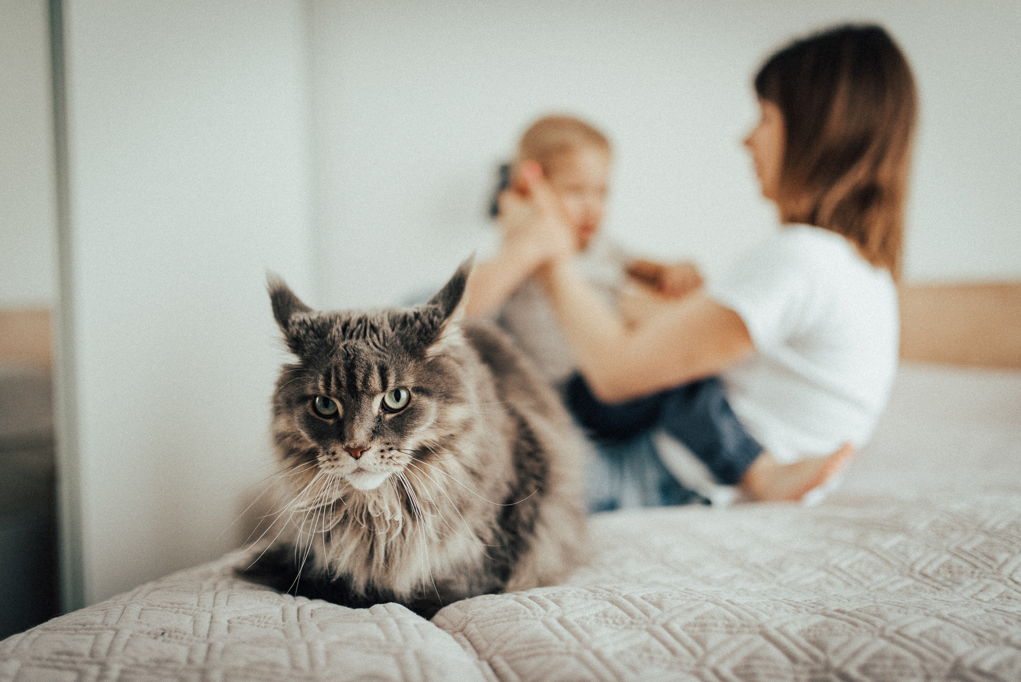 Артём, Настя, Даня | дома