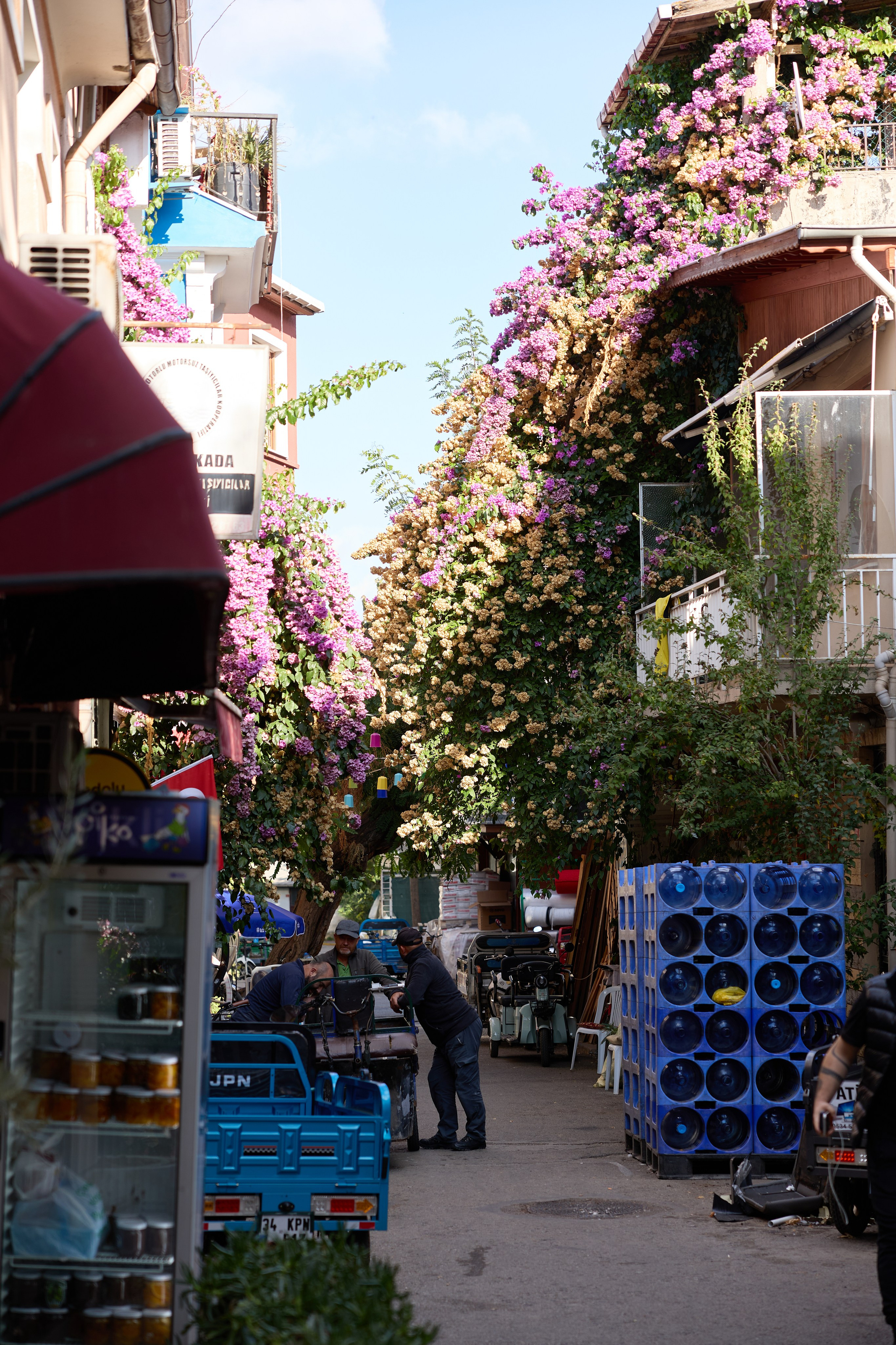Стамбул 24. Фотограф Москва, Дима Пеллер