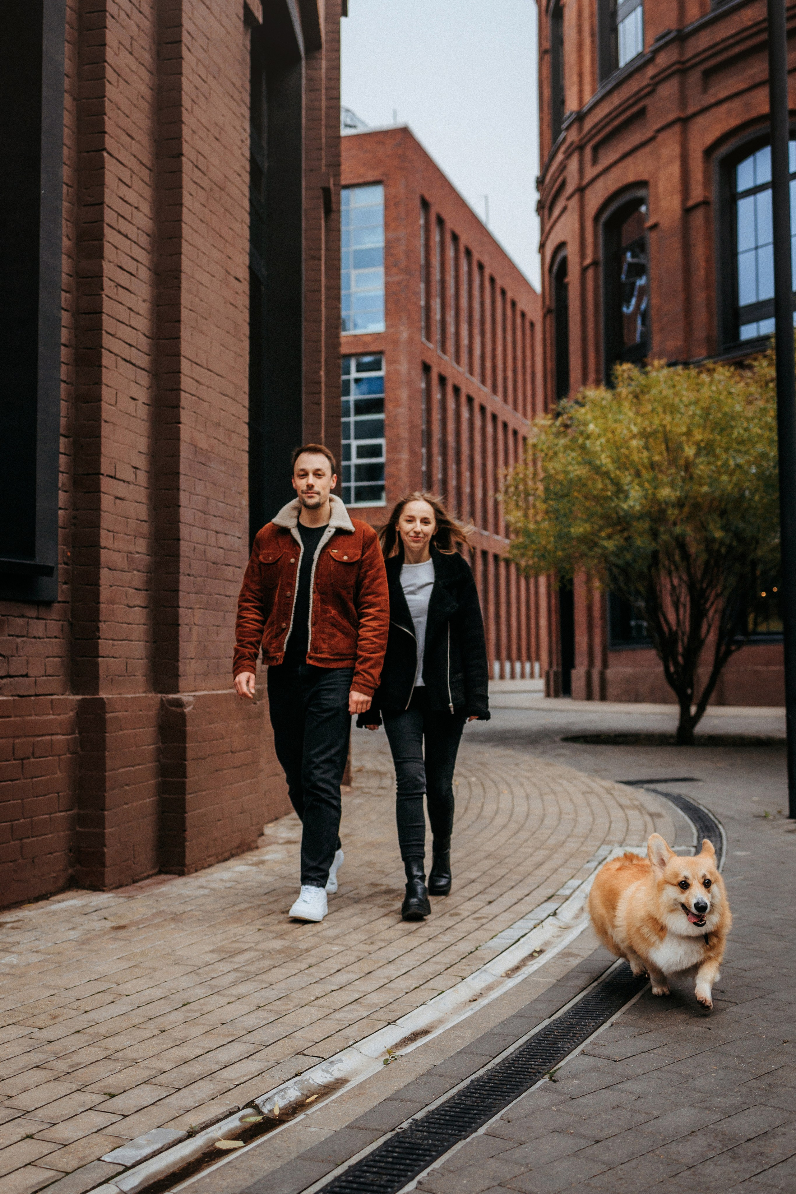 Вера, Саша и Муна. Фотограф-анималист Елена Радченко, Москва