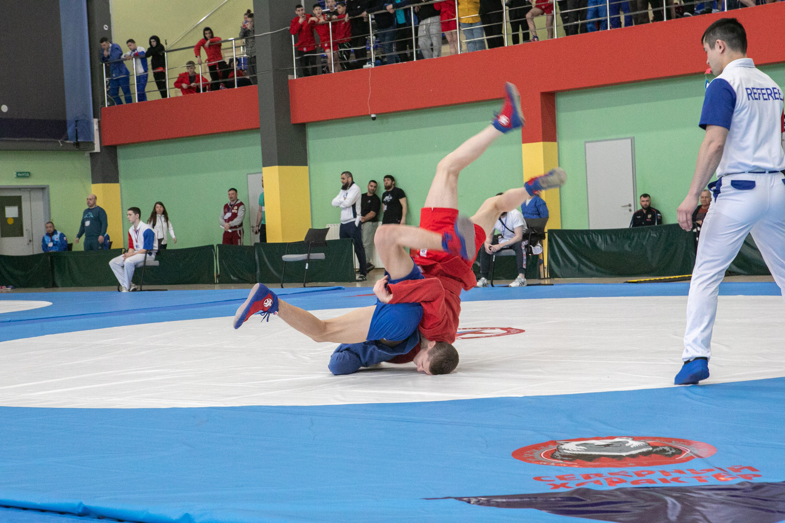 Самбо. Фотограф Губкинского