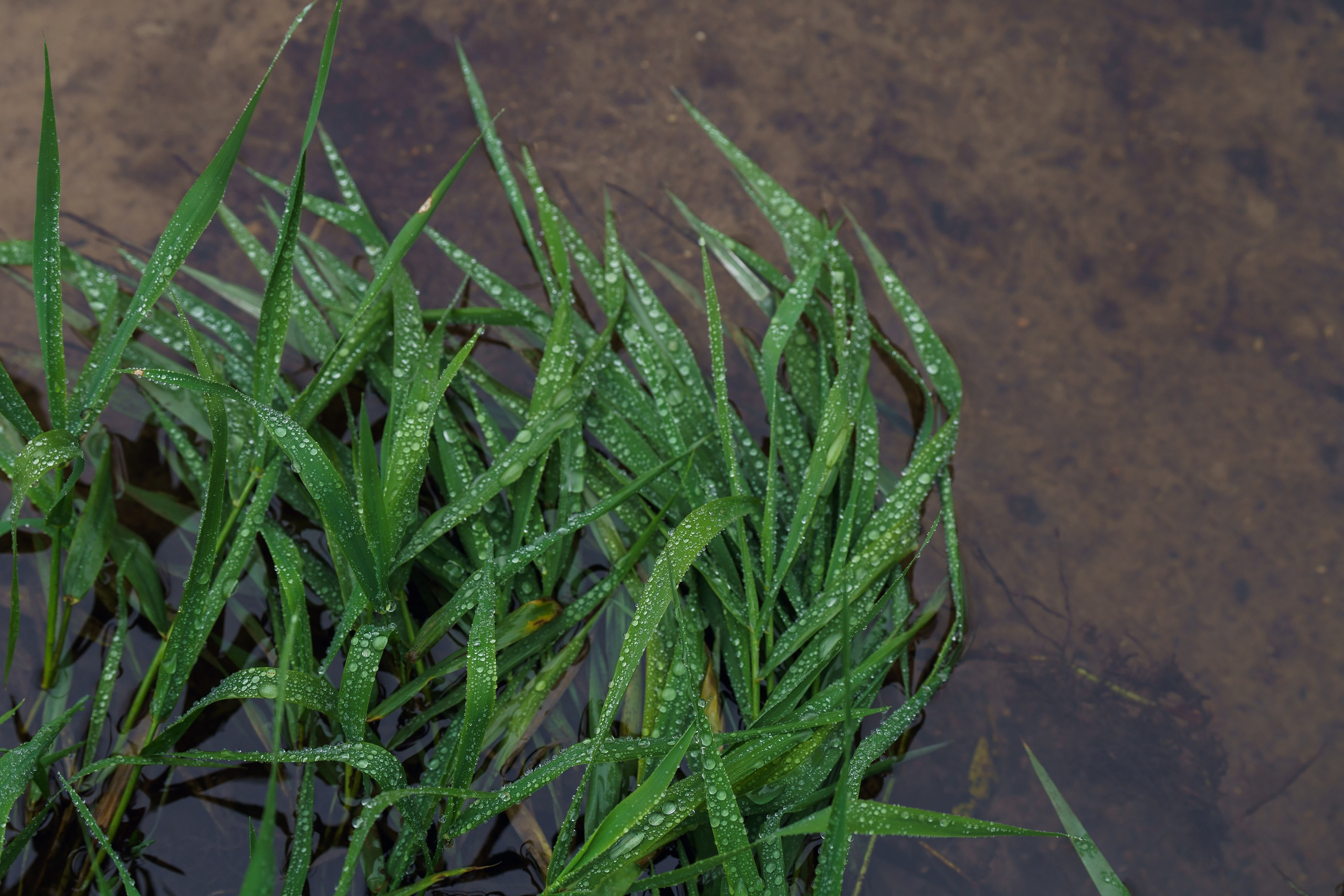 Фотографии Трейл Кутузов 2025. Фотограф спортивные события, недвижимость, турбизнес