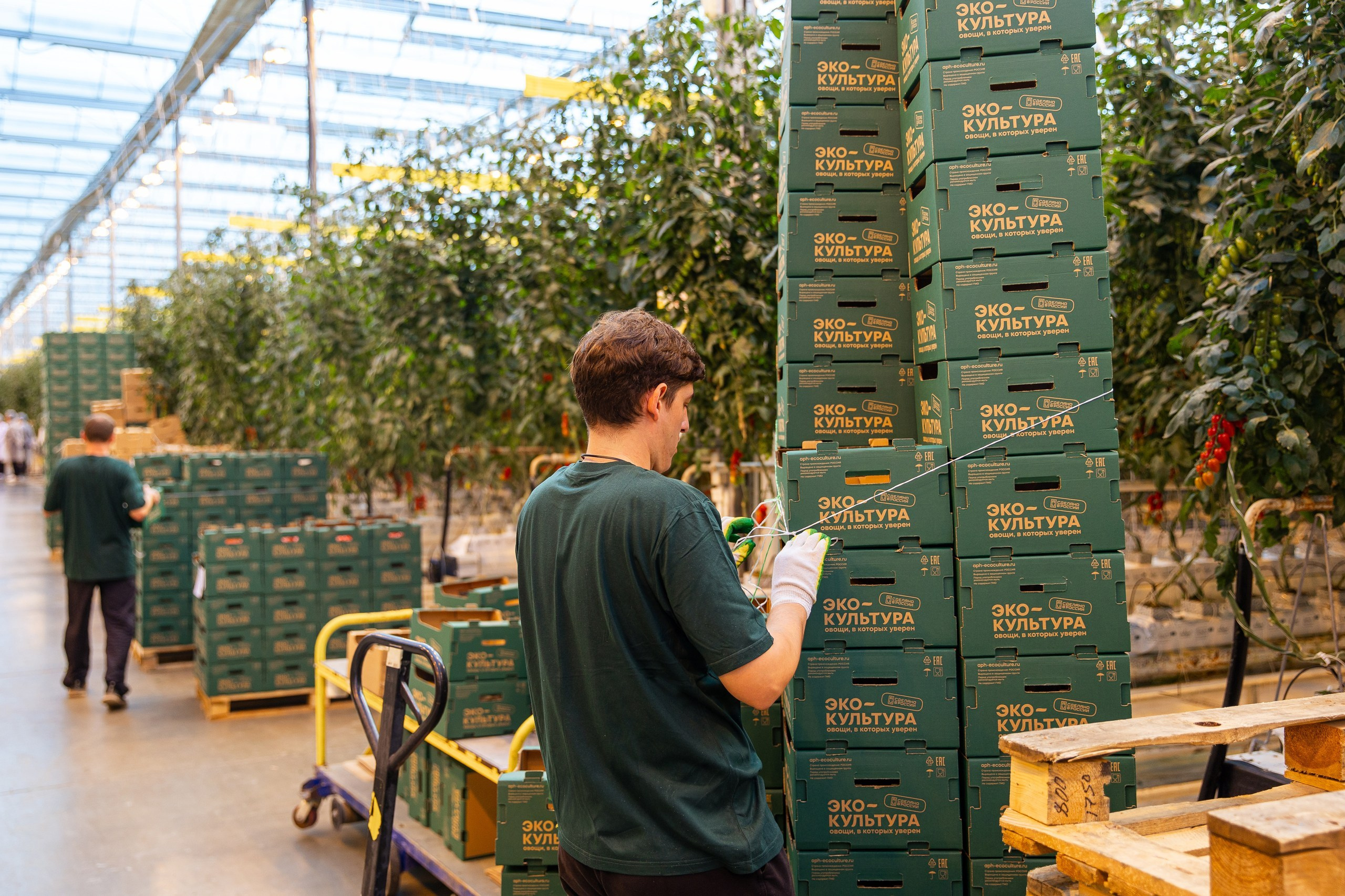 Производство. Фотограф Николай Петрушкин | Ставрополь, Москва