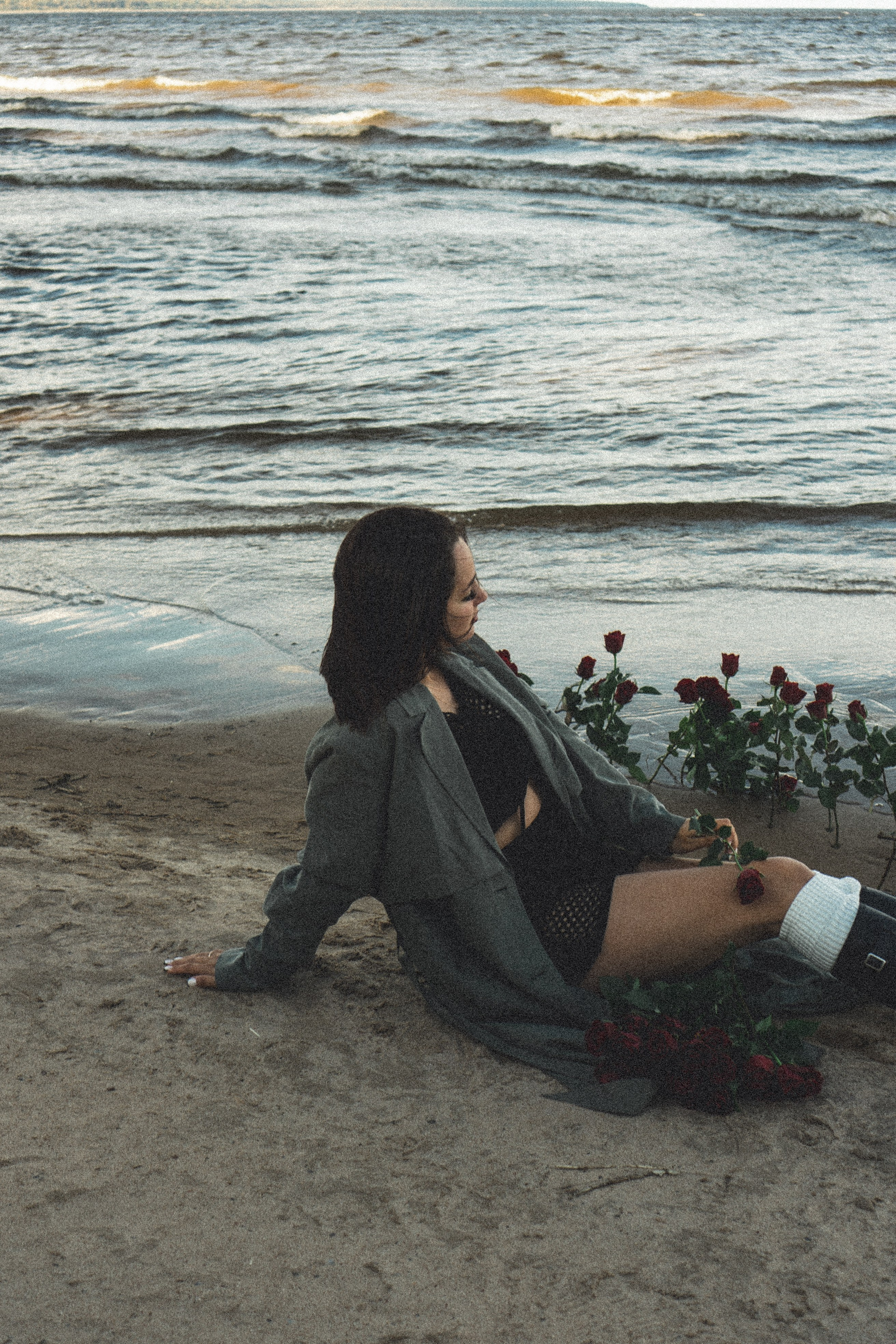 Розы. Профессиональный фотограф, Санкт-Петербург — Виктория Богомолова