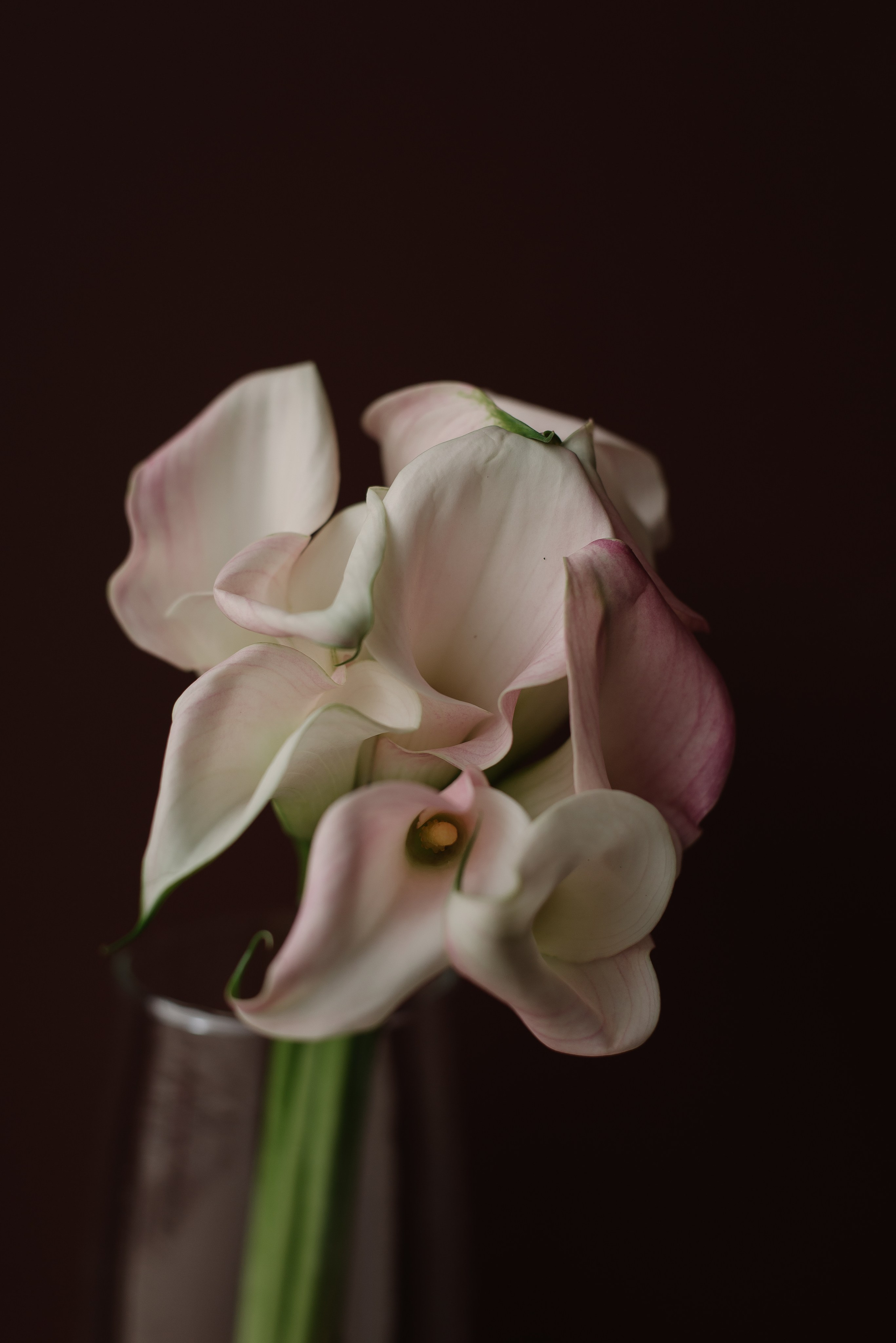 Garden Street. Портретный фотограф Ксения Люндовская