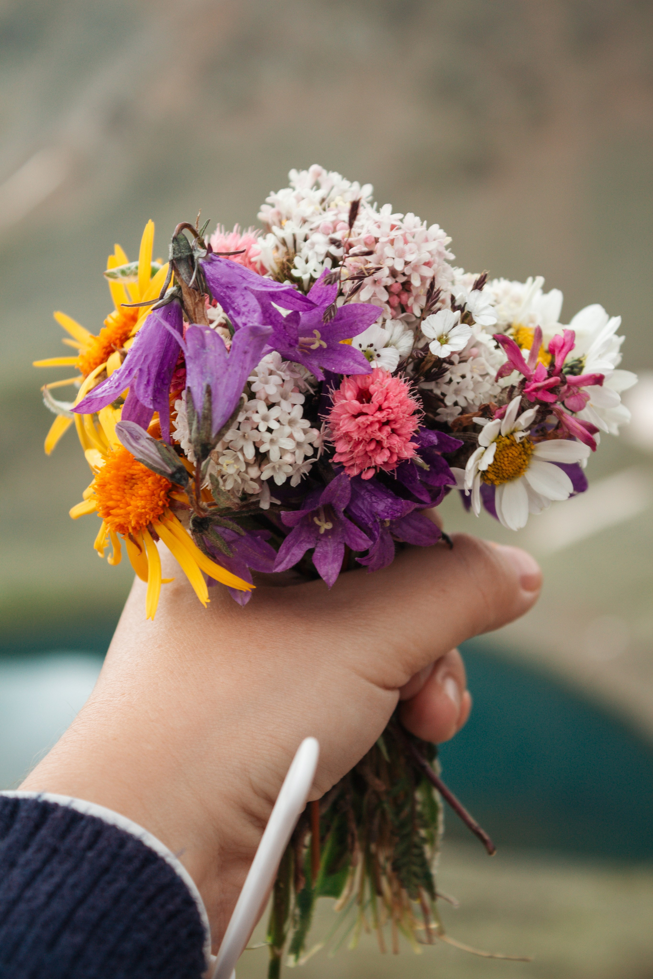 Фото сопровождение туров. Фотограф в Ростове-на-Дону и по всему миру Веникова Ольга