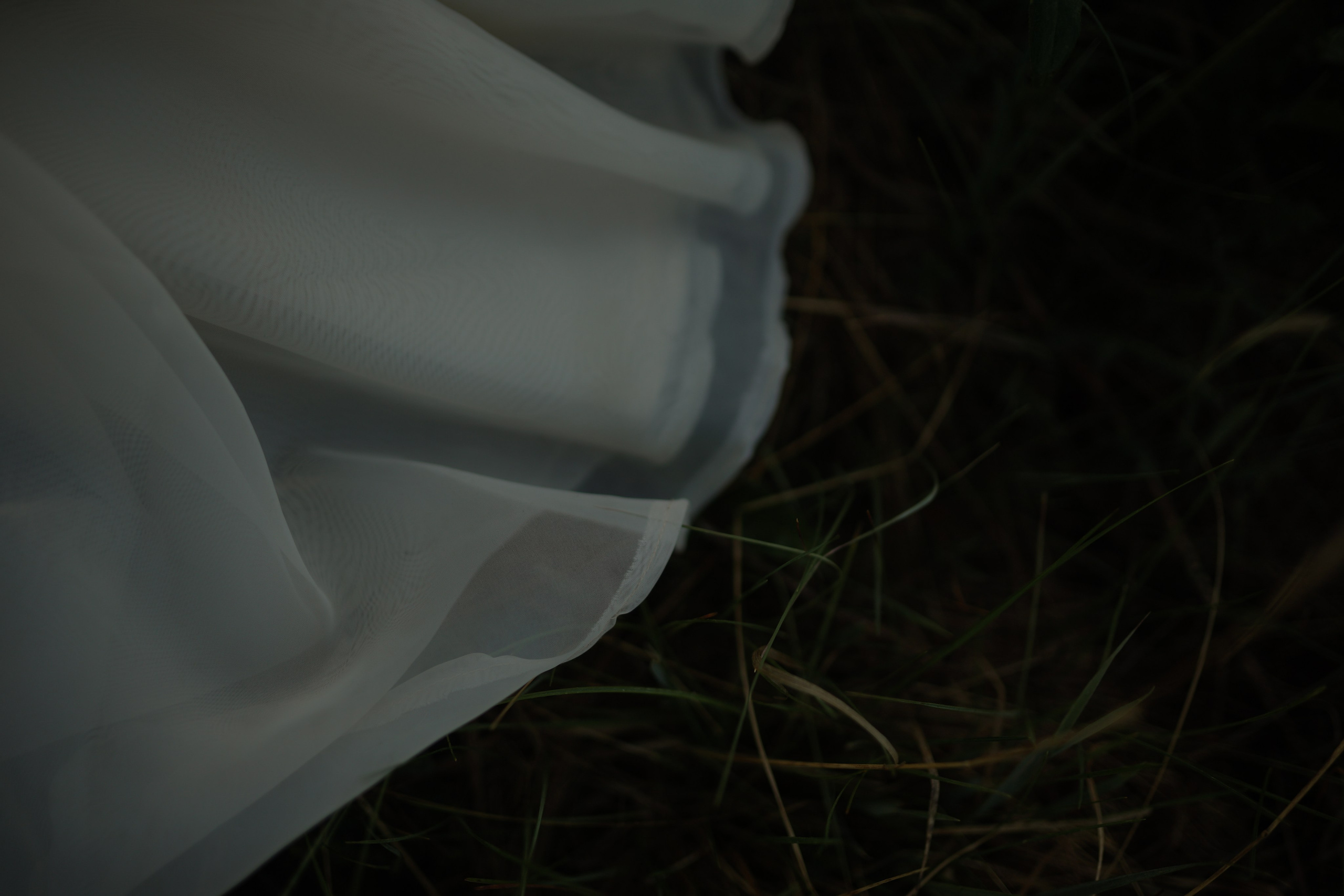 Рано на рассвете