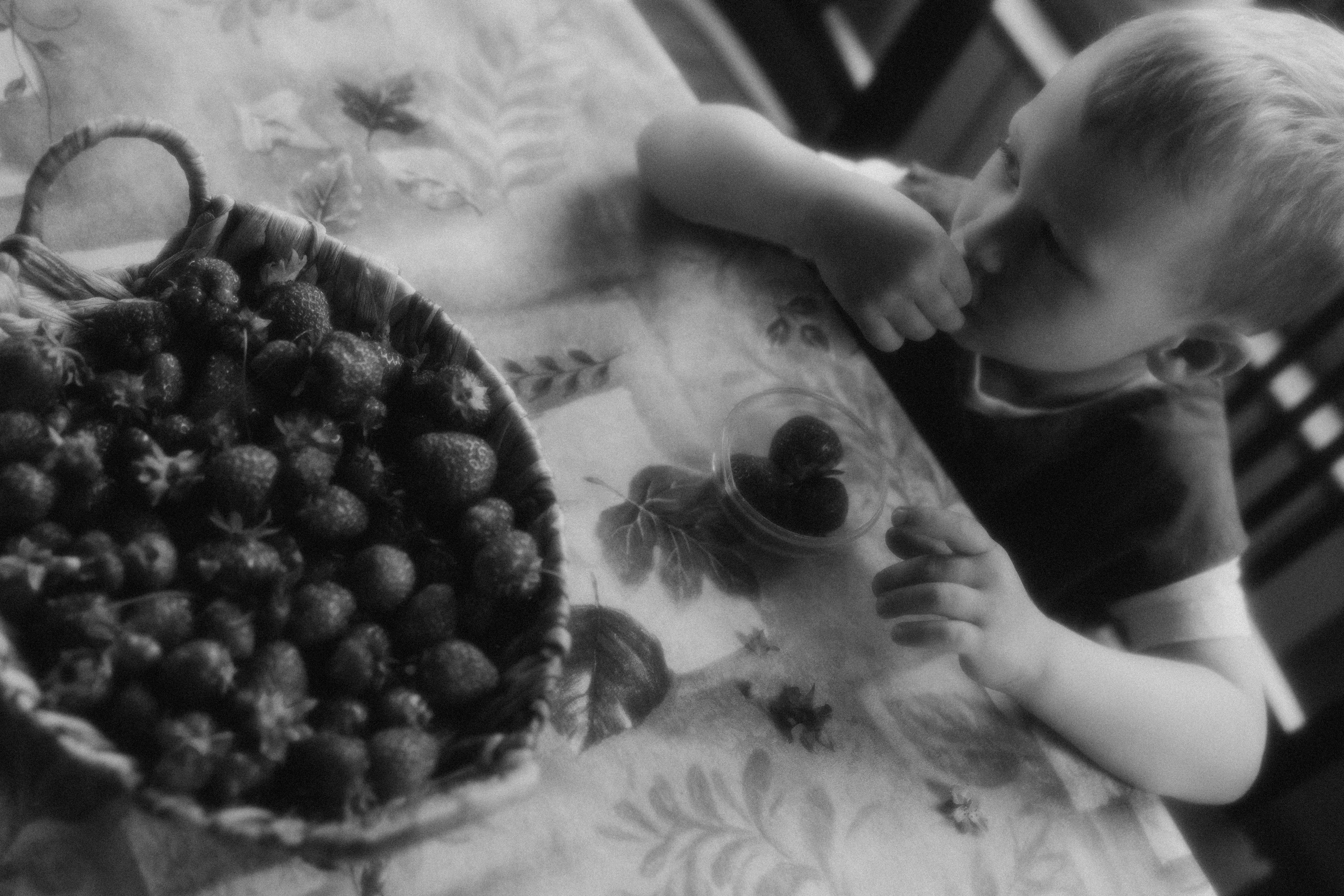 Про домашний уют на севера. Семейный фотограф в Мурманске Екатерина Юшкова