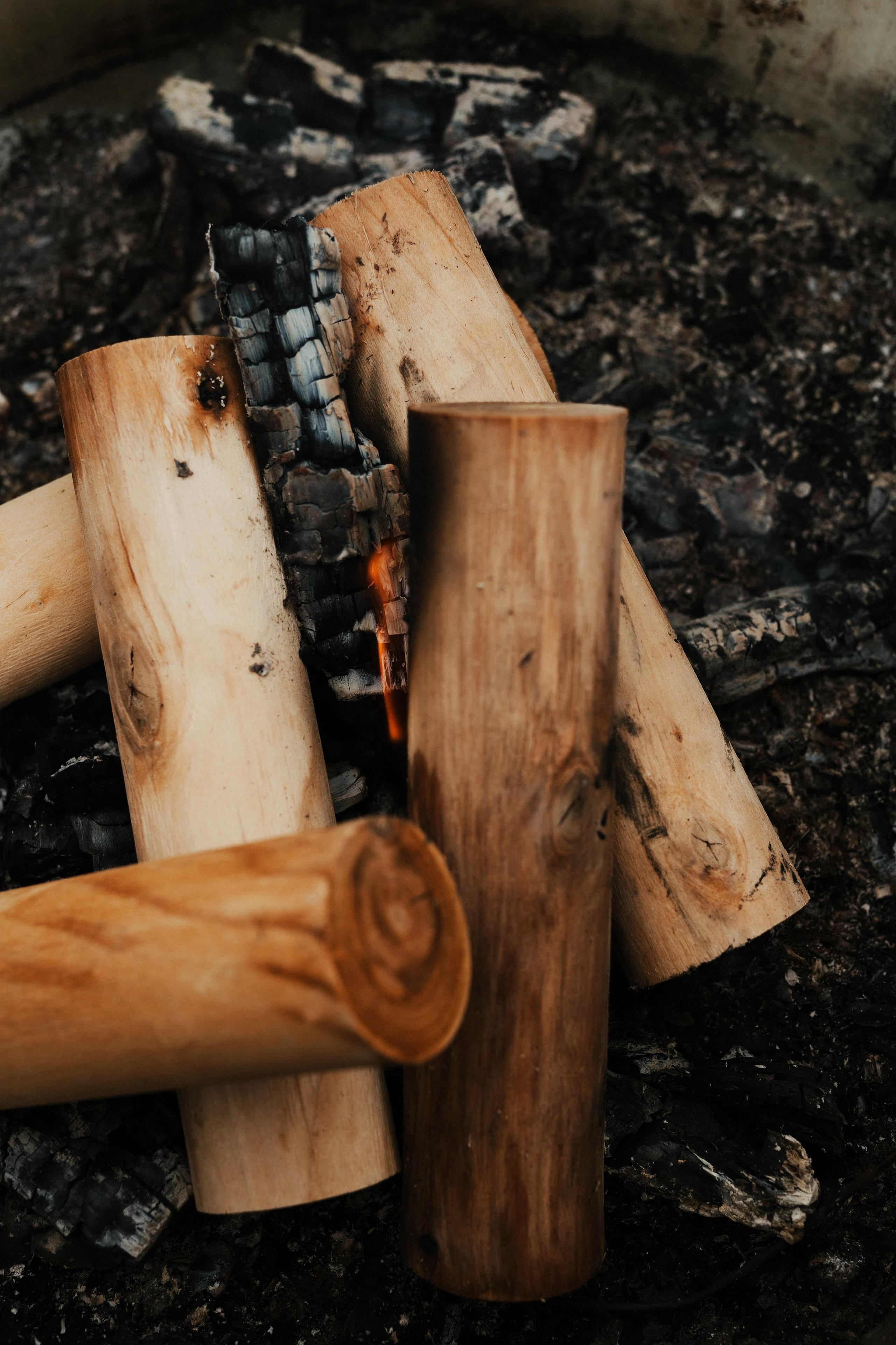 Семейные истории. ФОТОГРАФ КСЕНИЯ СОСНОВСКАЯ