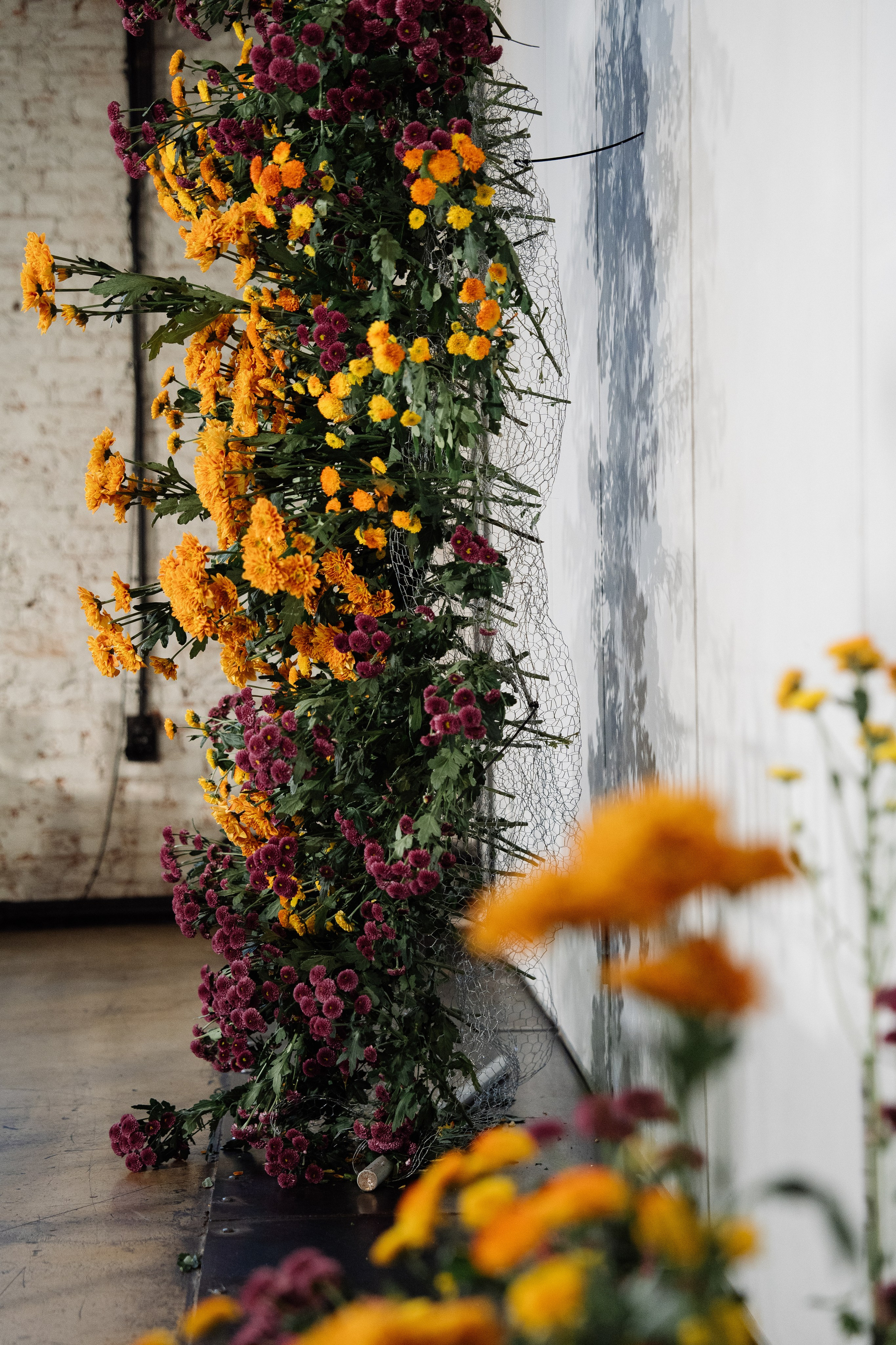 Оранжевая свадьба в гребешках. Свадебный фотограф организатор в Санкт-Петербурге Ассоль Опарина