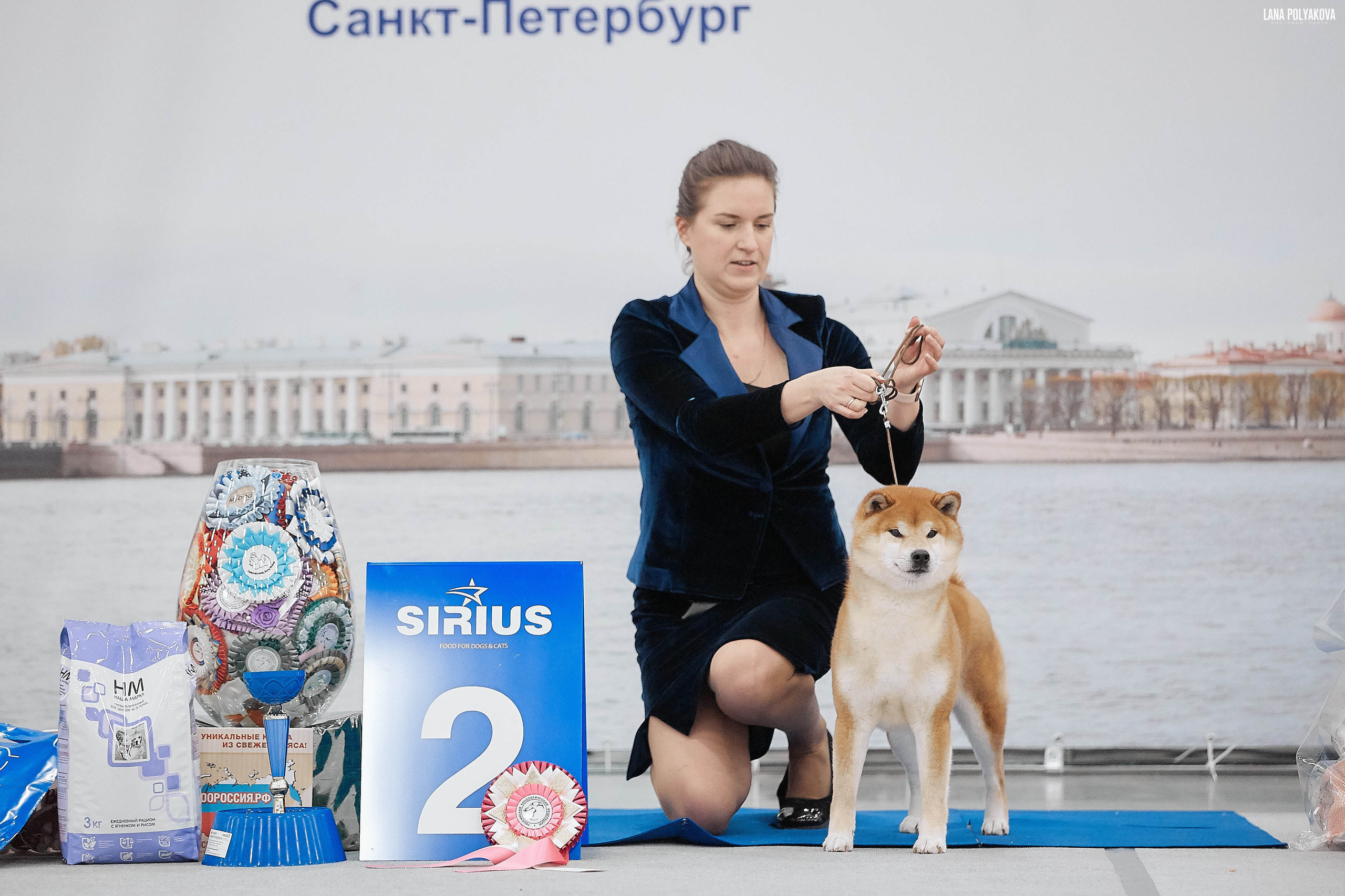 Litter «D»: HANDZIMEMESITE HIRO и ZOLOTO PARTII DEVANA GODDESS OF HUNT