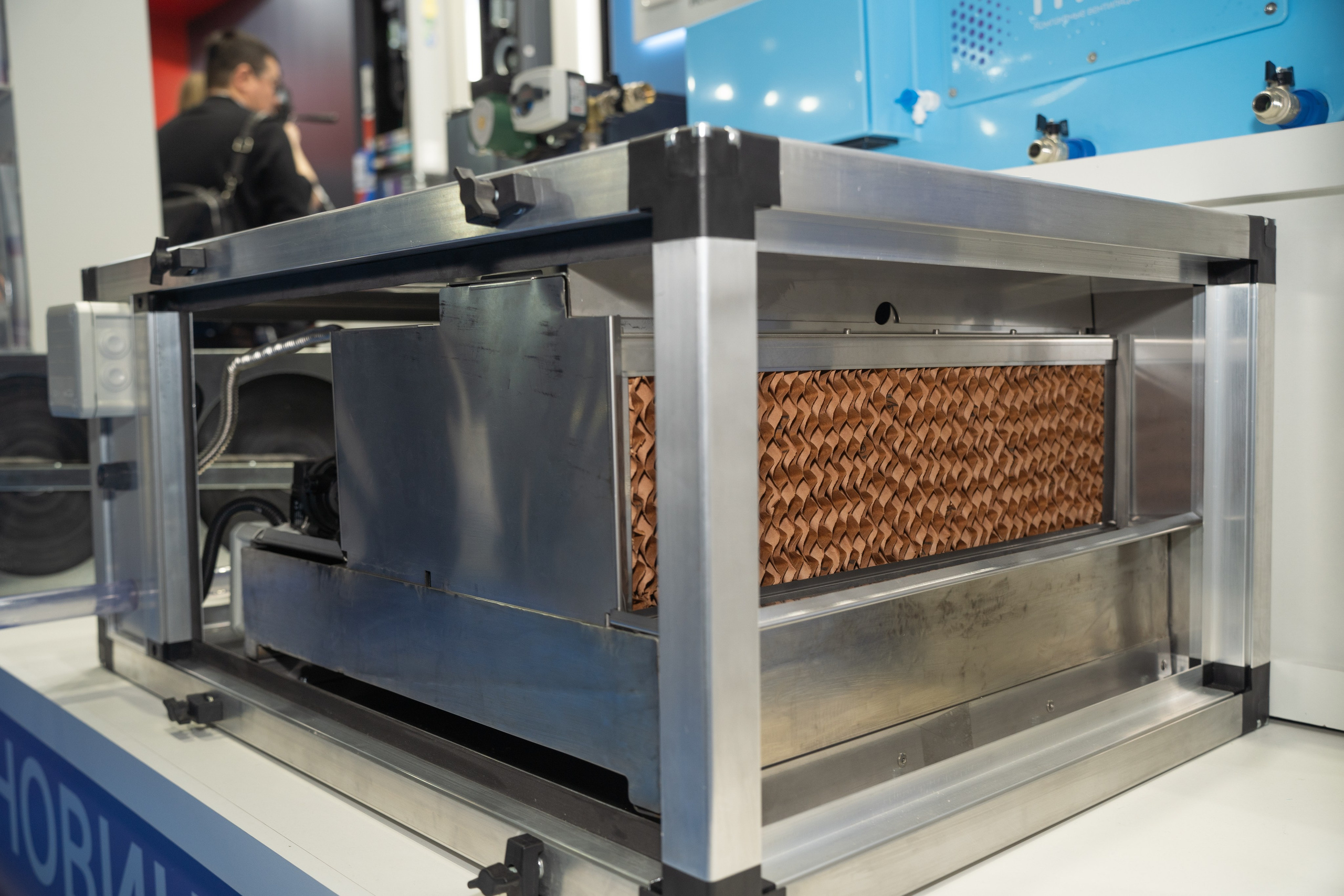 Крокус Вентиляция. Фотограф Зинаида Евдокимова