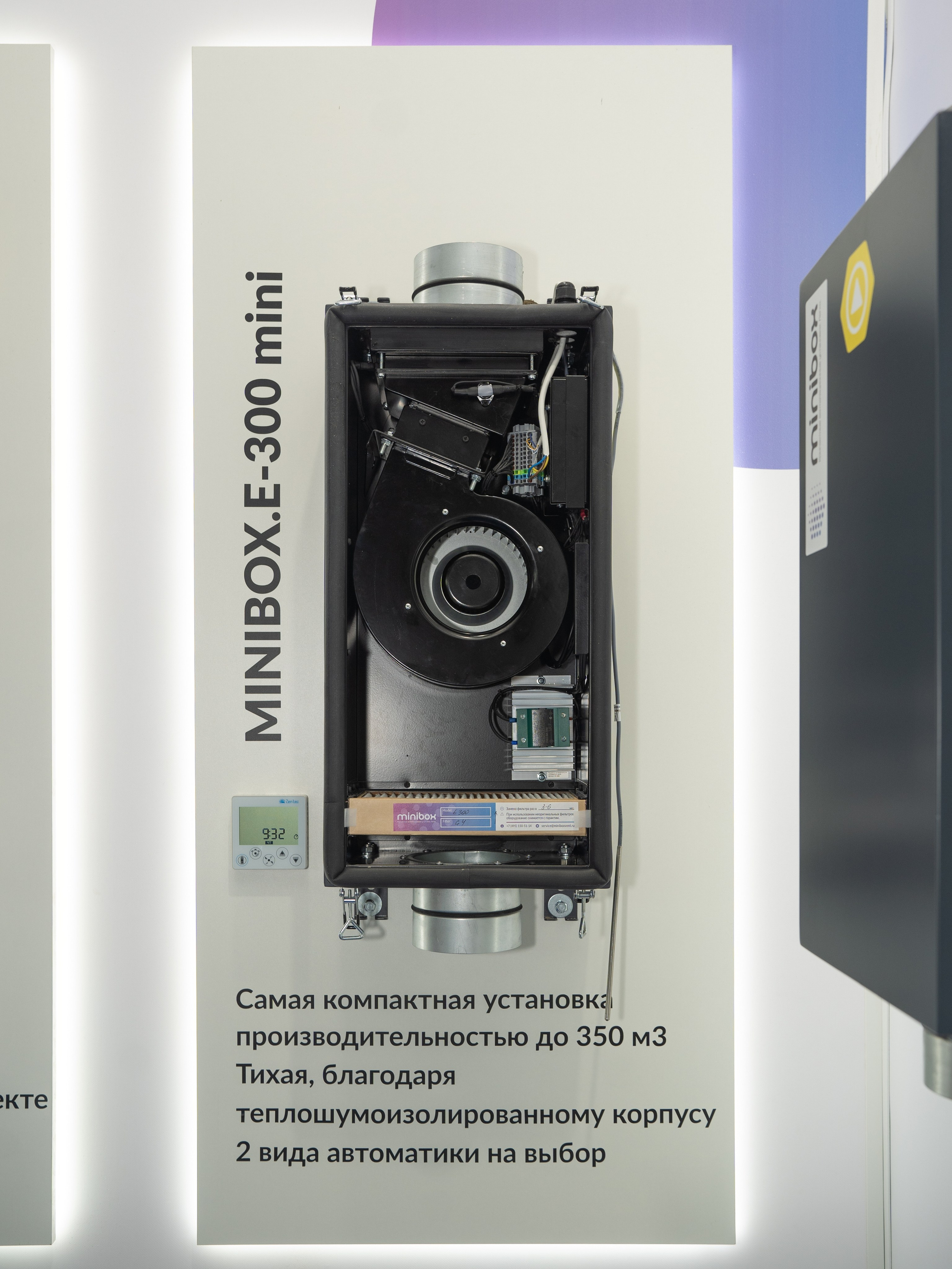 Крокус Вентиляция. Фотограф Зинаида Евдокимова