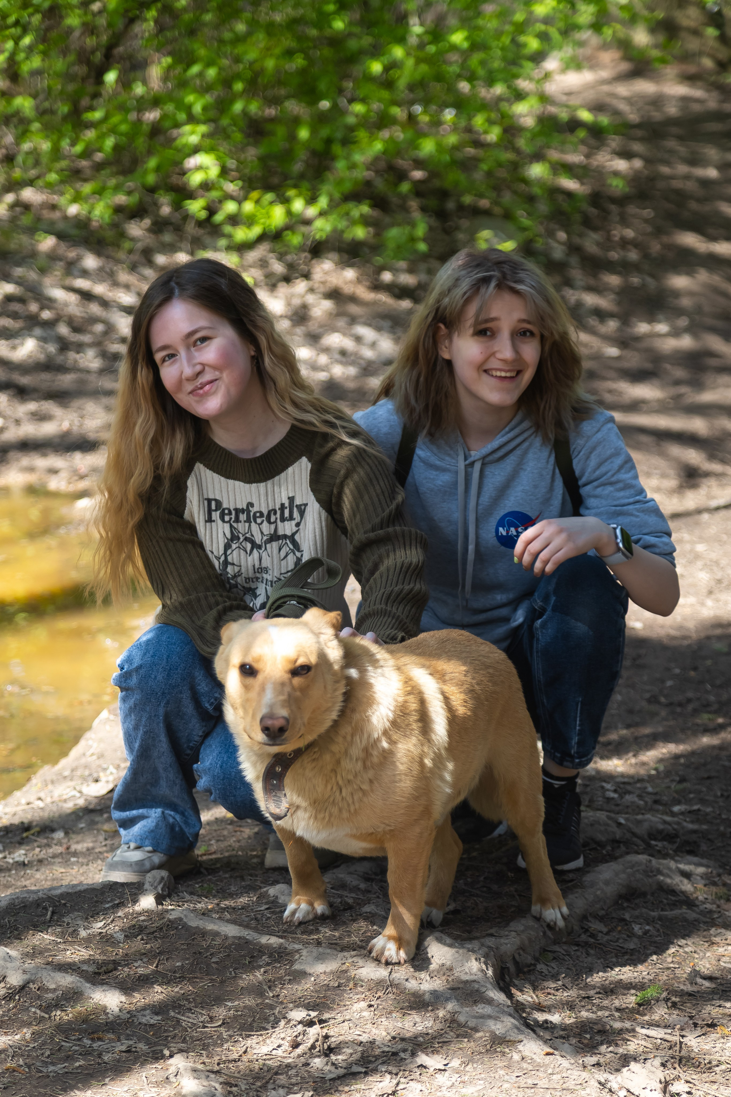 Petshop Забота. Фотограф в Санкт-Петербурге Чумаков Семен