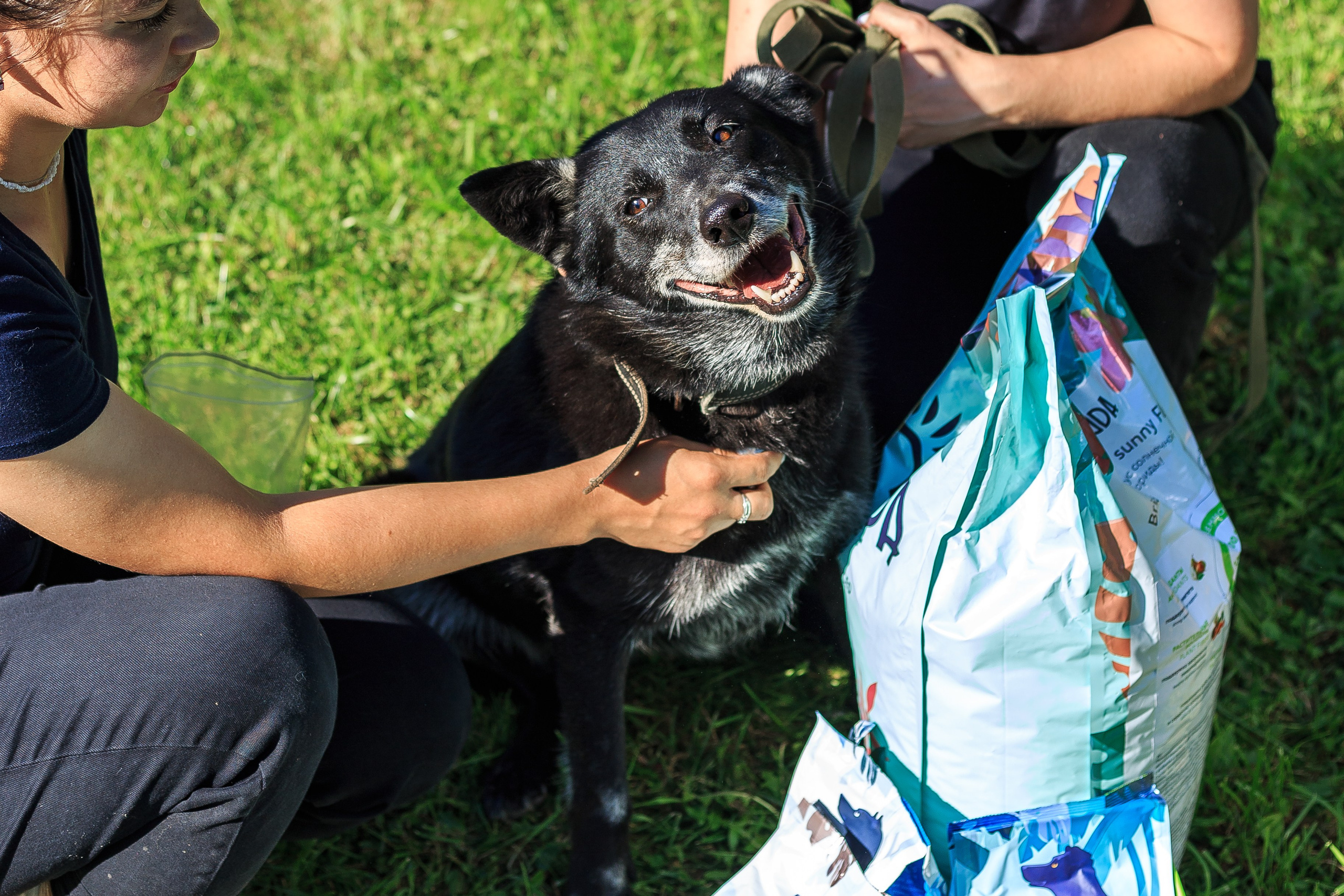 Petshop Забота. Фотограф в Санкт-Петербурге Чумаков Семен