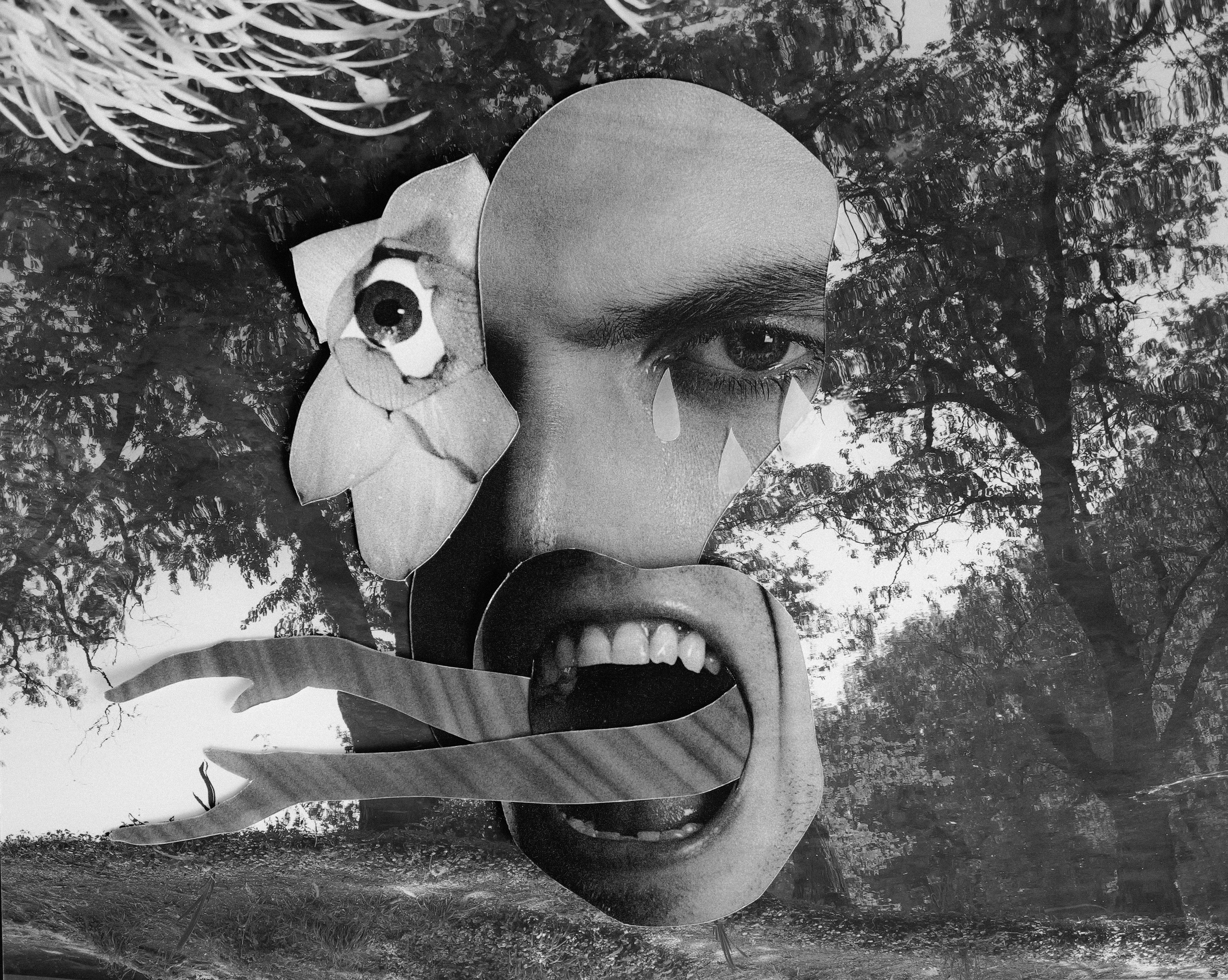 Collages. Photographer Дарья