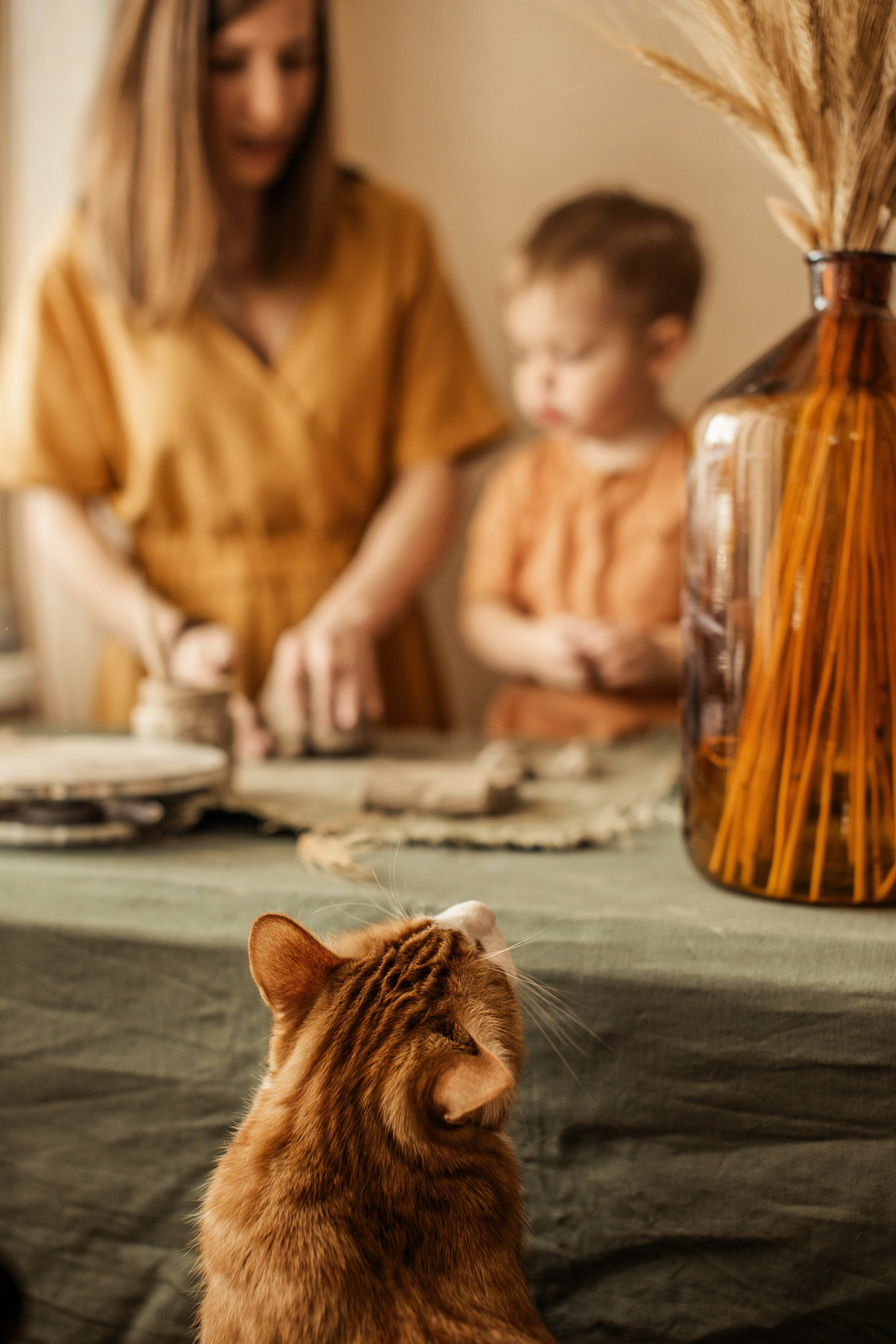 Семья. By Twins — фото и видео объединение в Санкт-Петербруге, Москве и Сочи