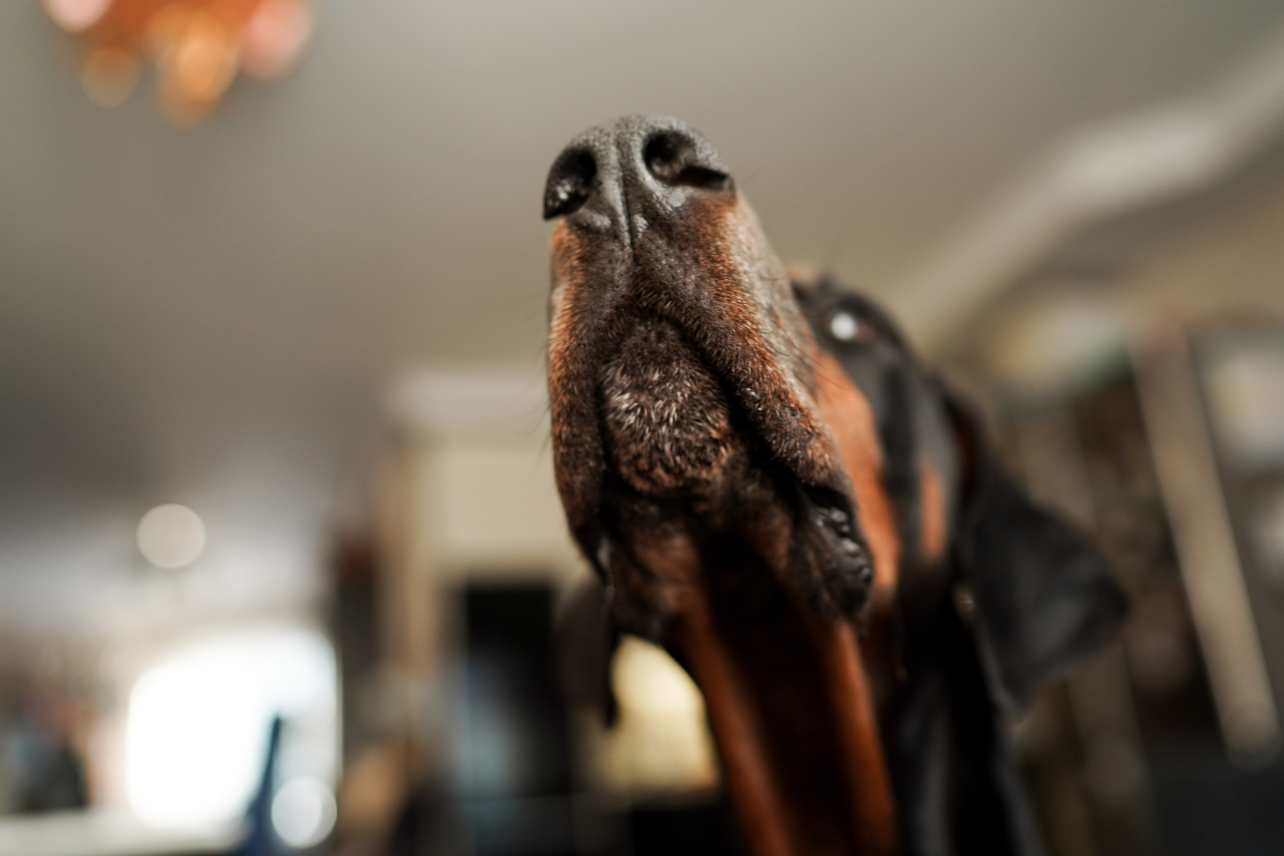 Семейная. Детский и семейный фотограф в Москве Мария Луговая